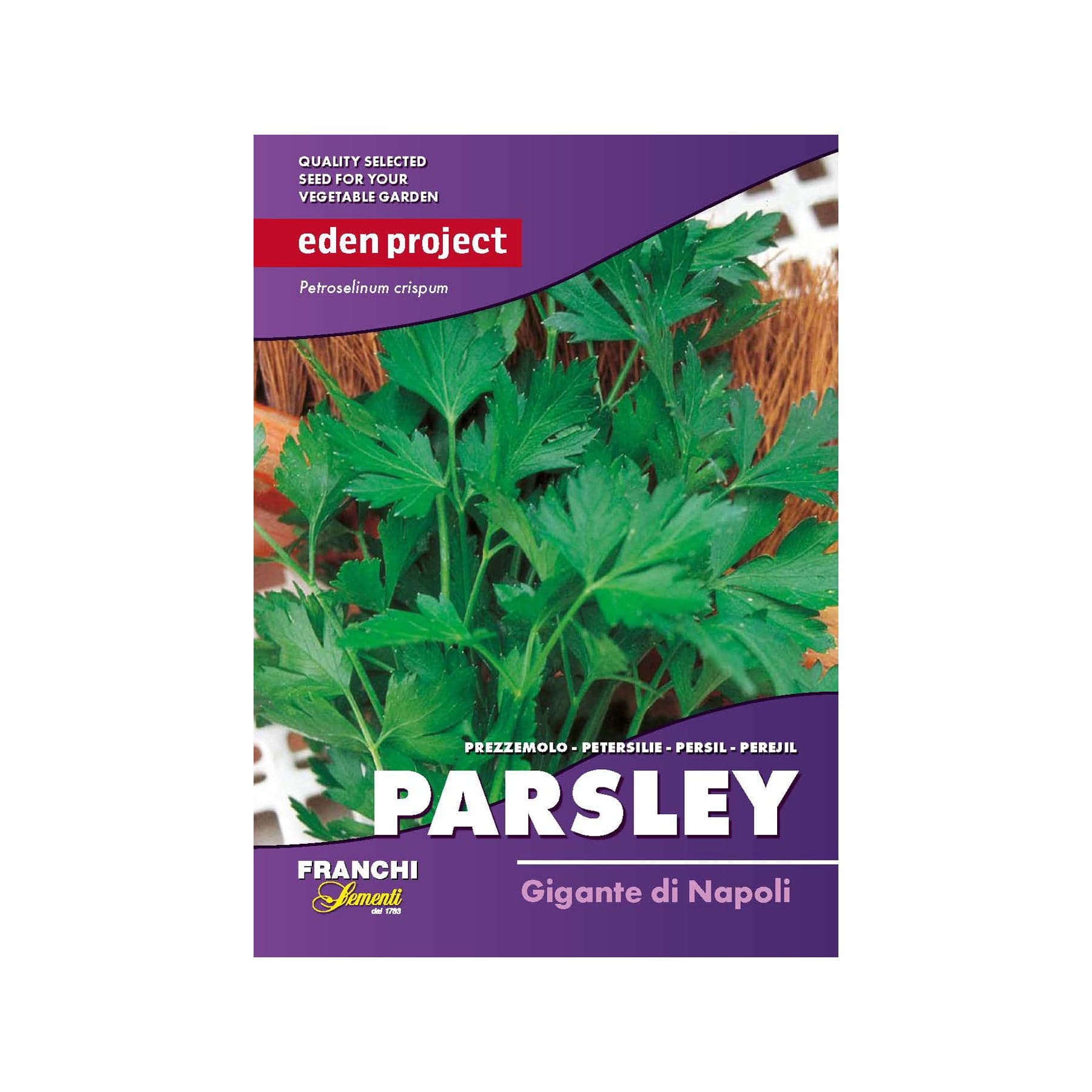 Parsley gigante seeds