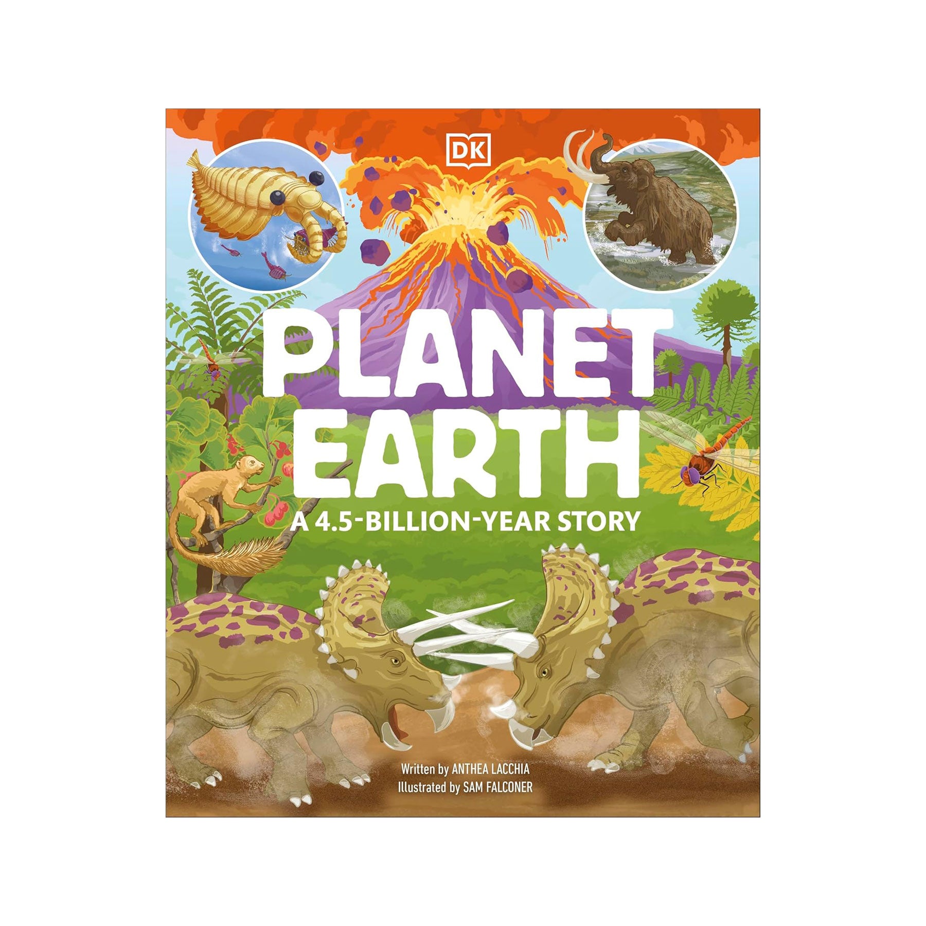 Planet earth: a 4.5 billion-year story