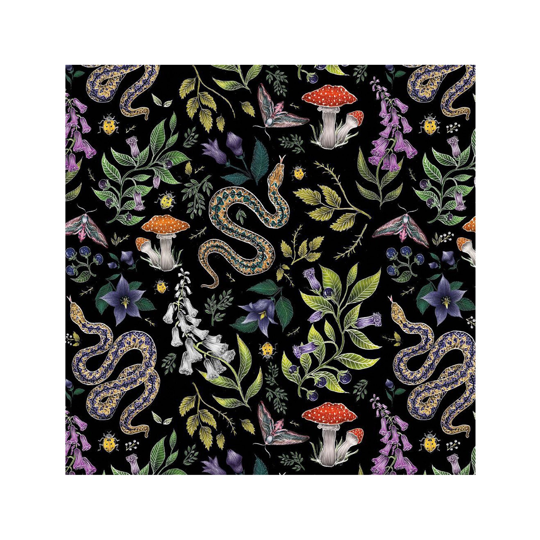 Poisonous pattern greetings card