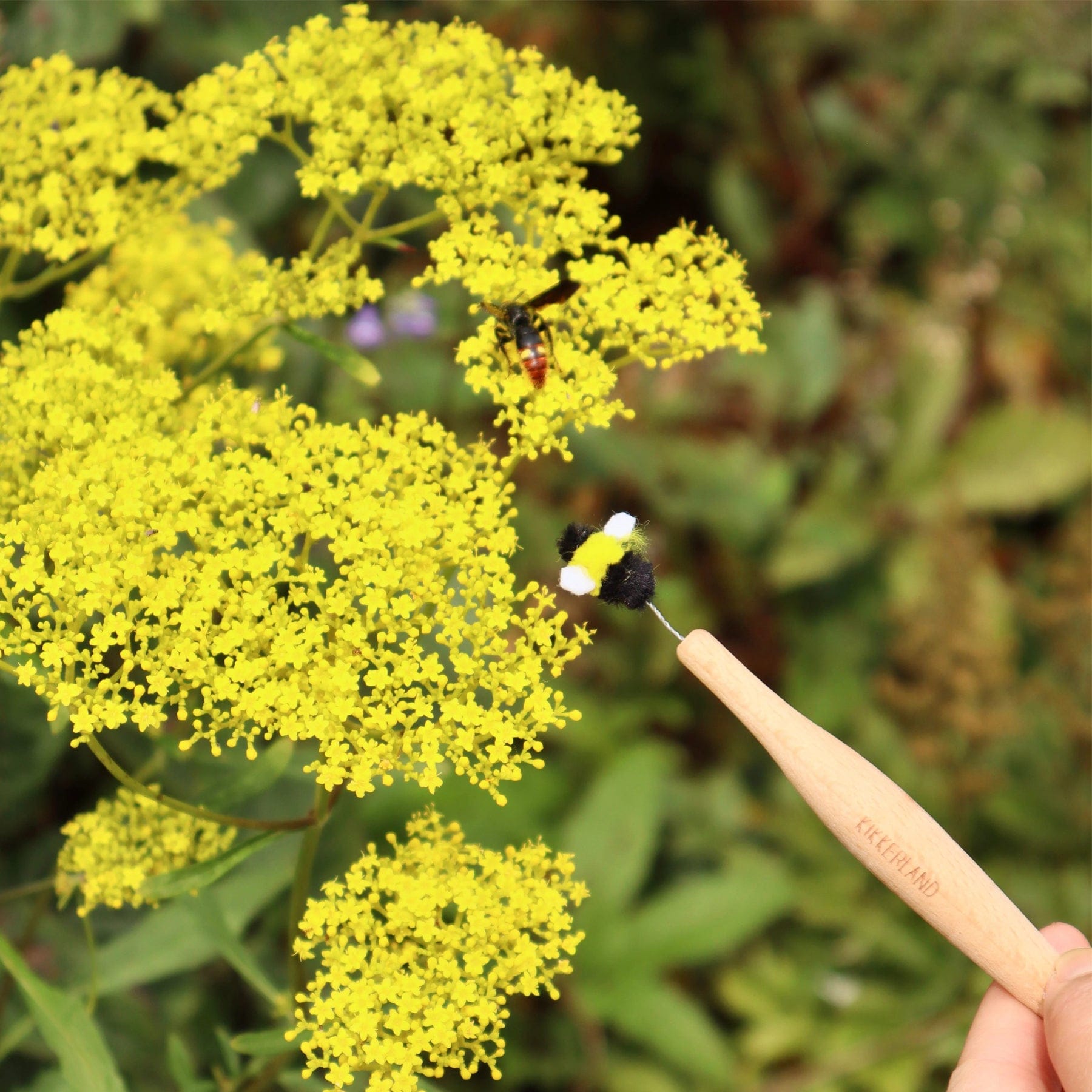 Pollination wand