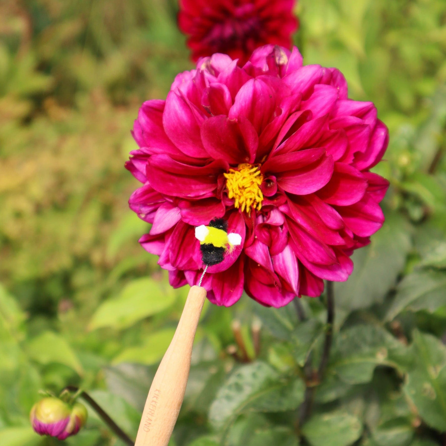 Pollination wand