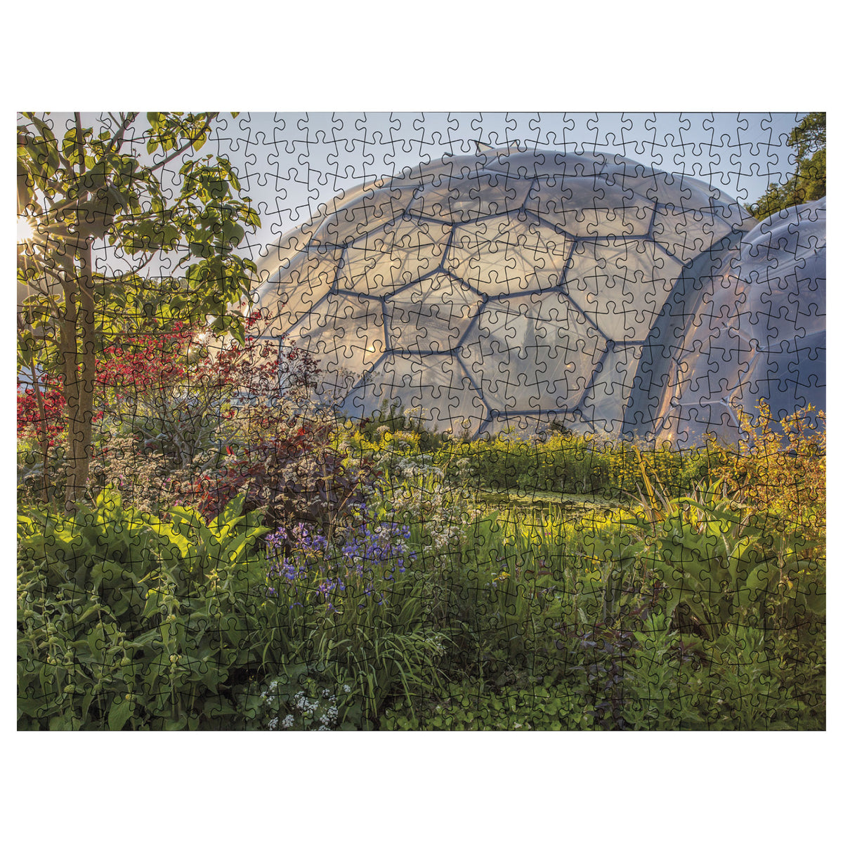 Pond in the evening sun jigsaw puzzle