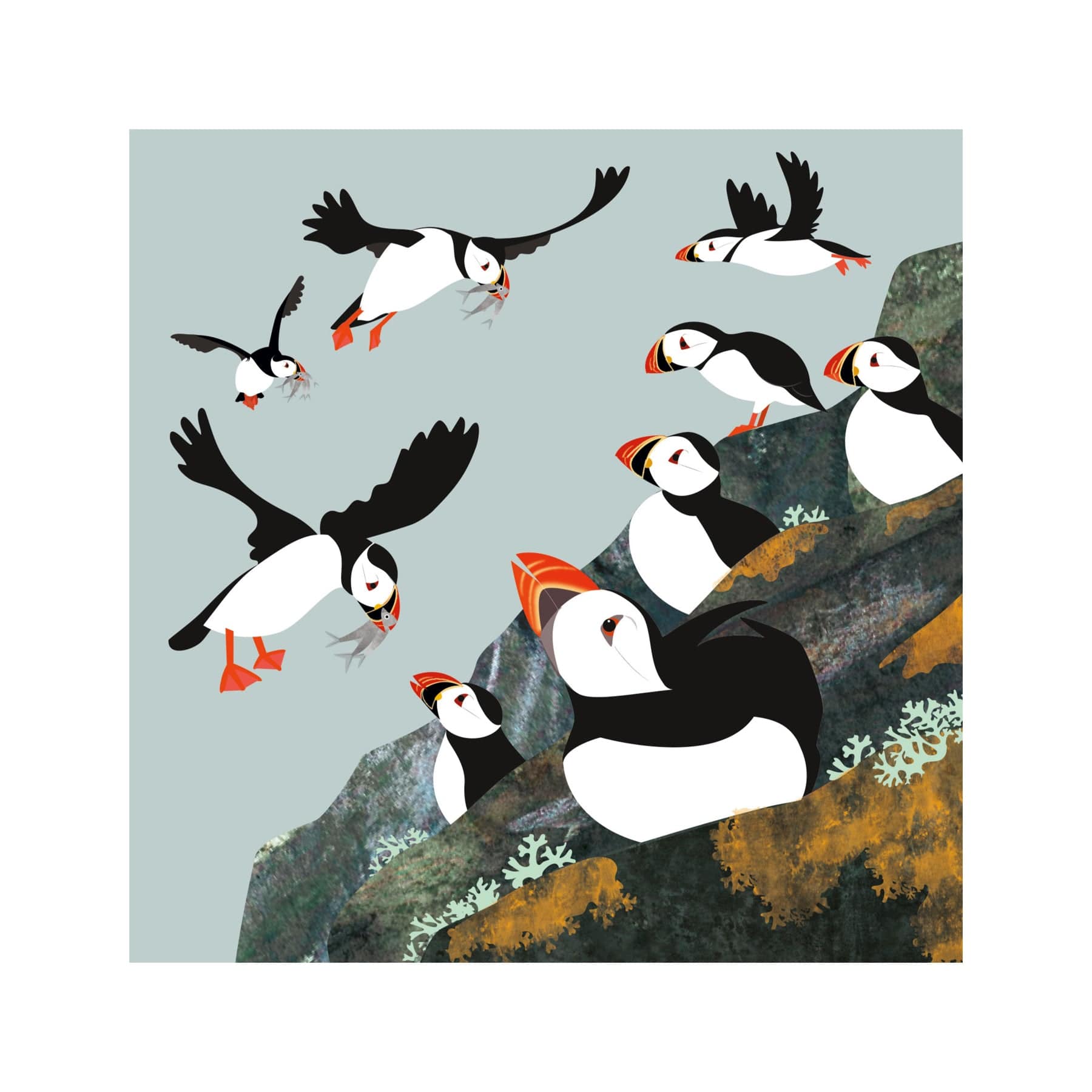 Puffin colony greetings card