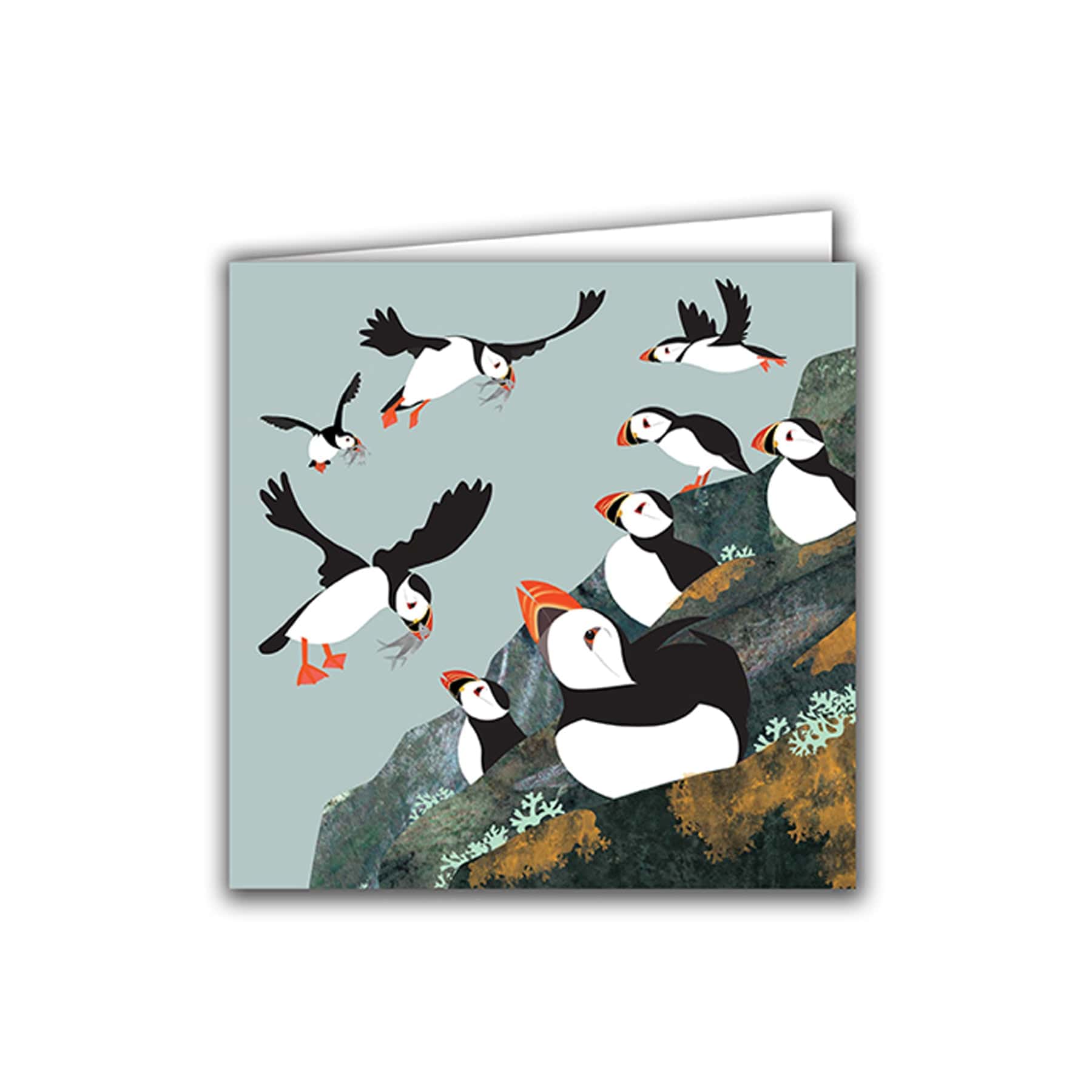 Puffin colony greetings card