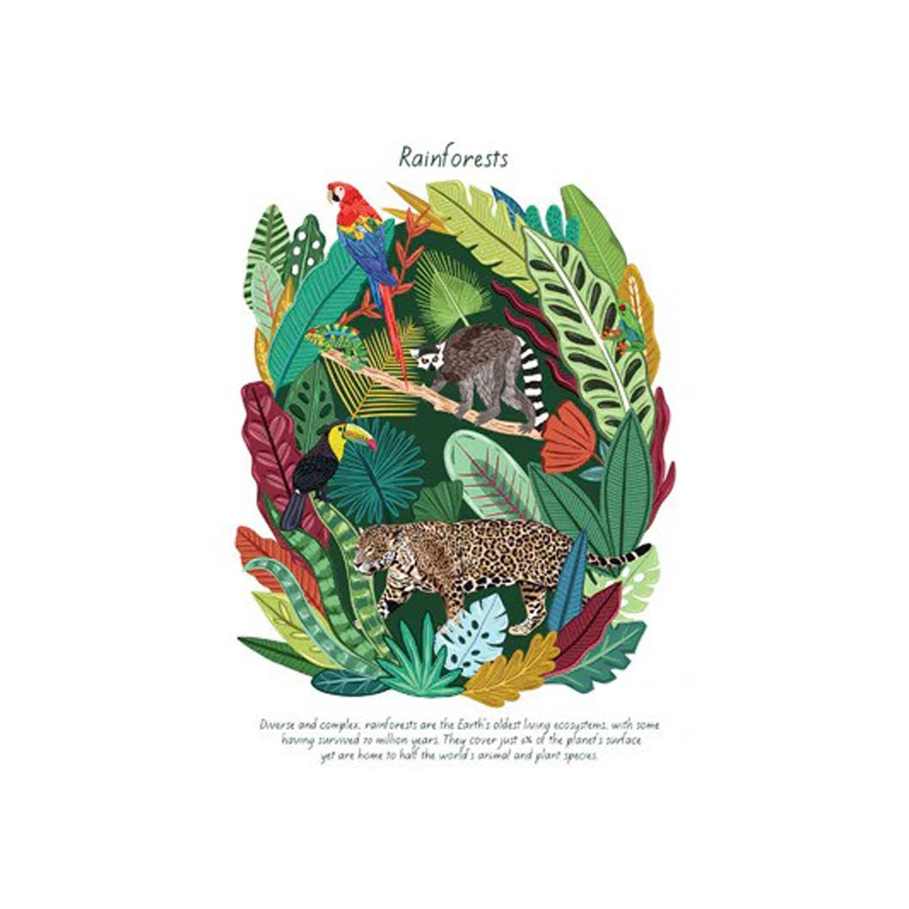 Rainforests greetings card