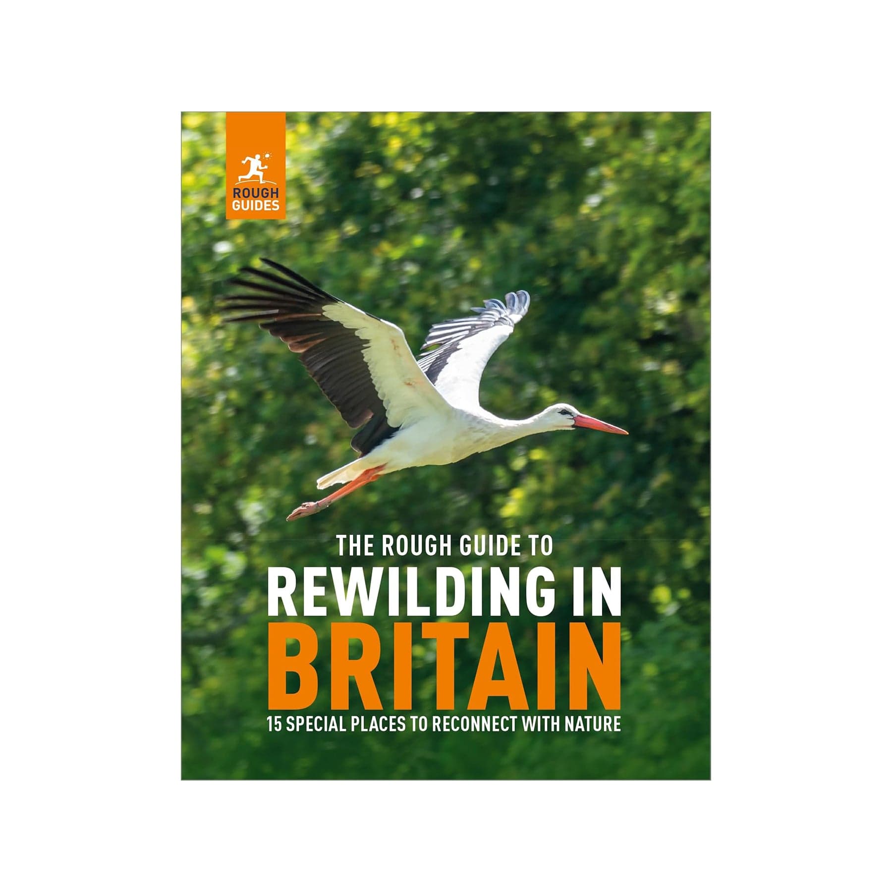 The rough guide to rewilding in Britain