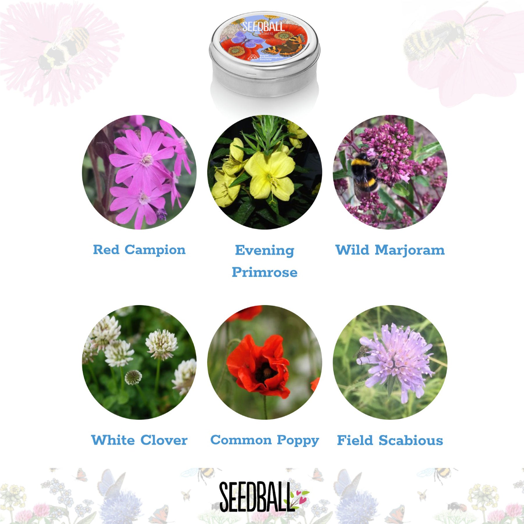 Royal Entomological Society wildflower mix tin