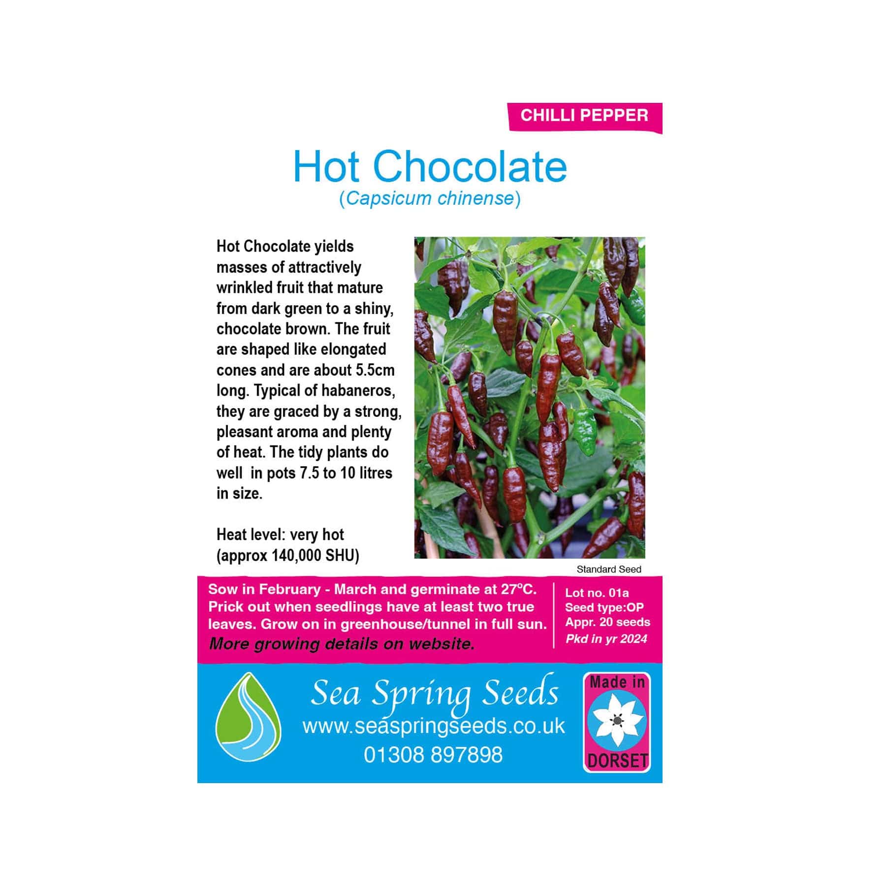 Hot chocolate chilli seeds