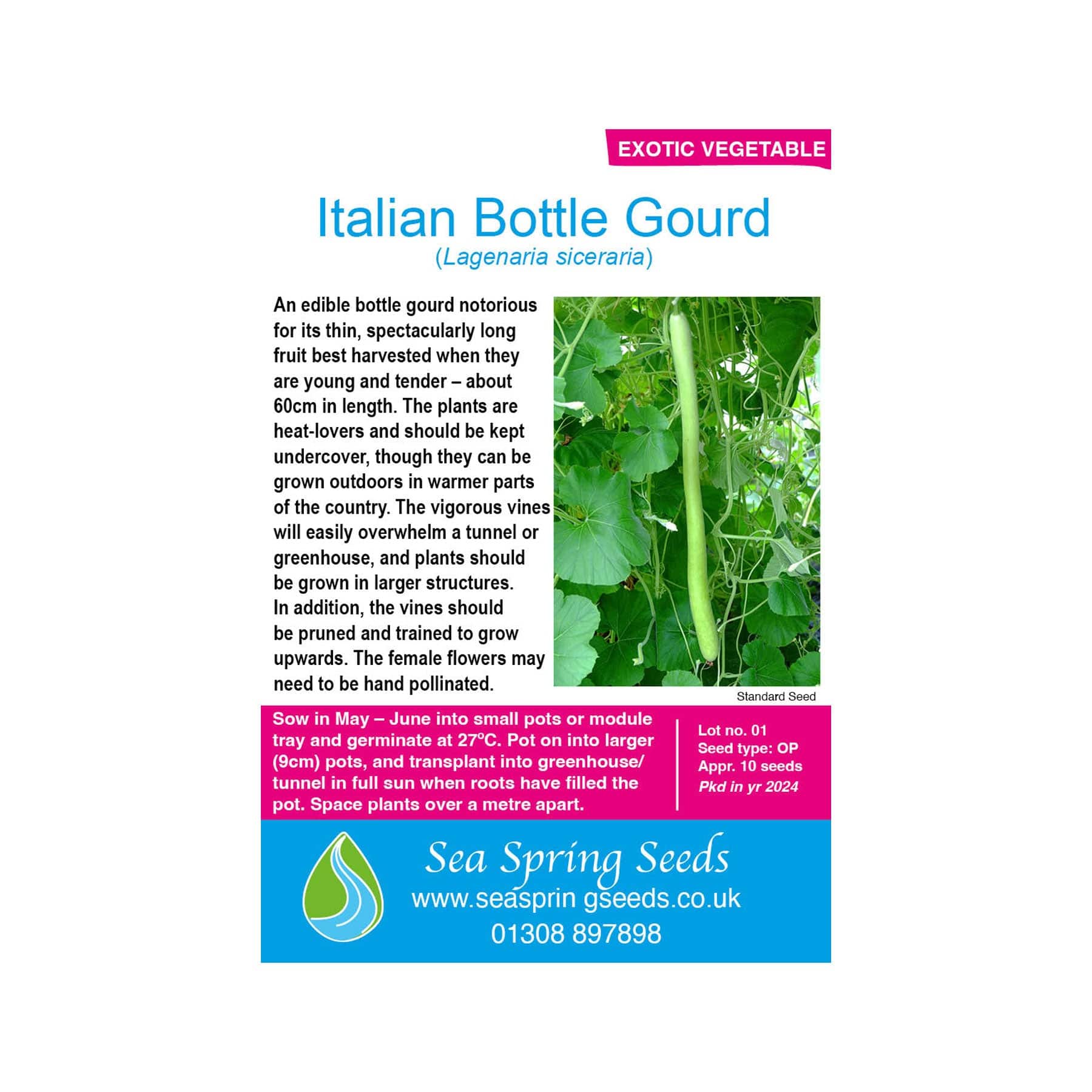 Italian bottle gourd seeds