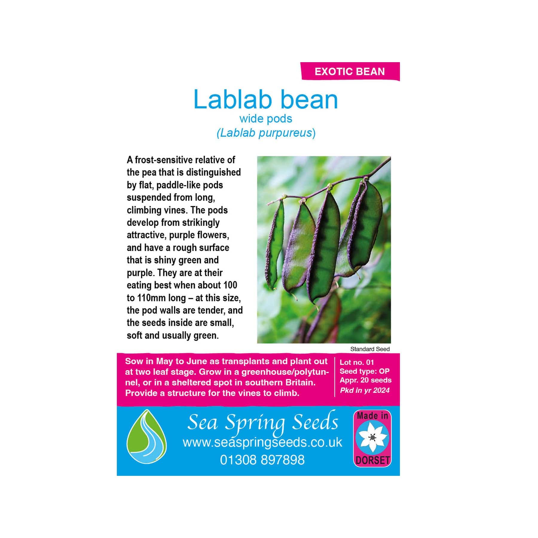 Lablab seeds