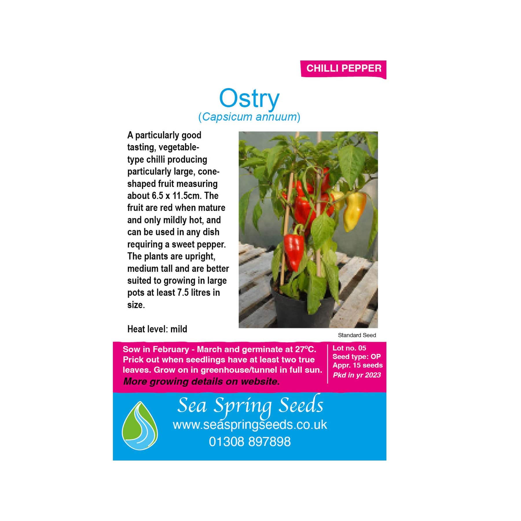 Ostry chilli seeds