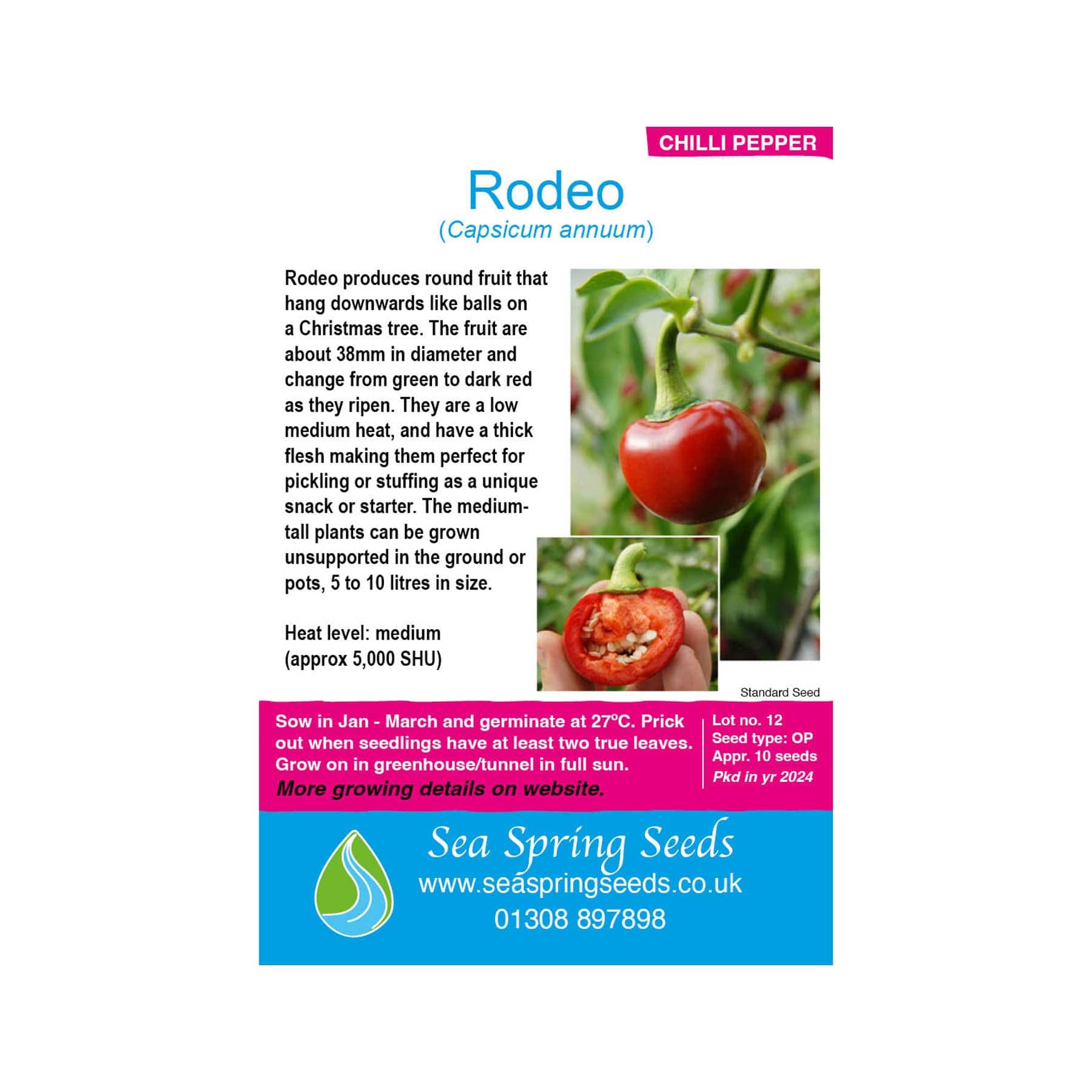 Rodeo chilli seeds