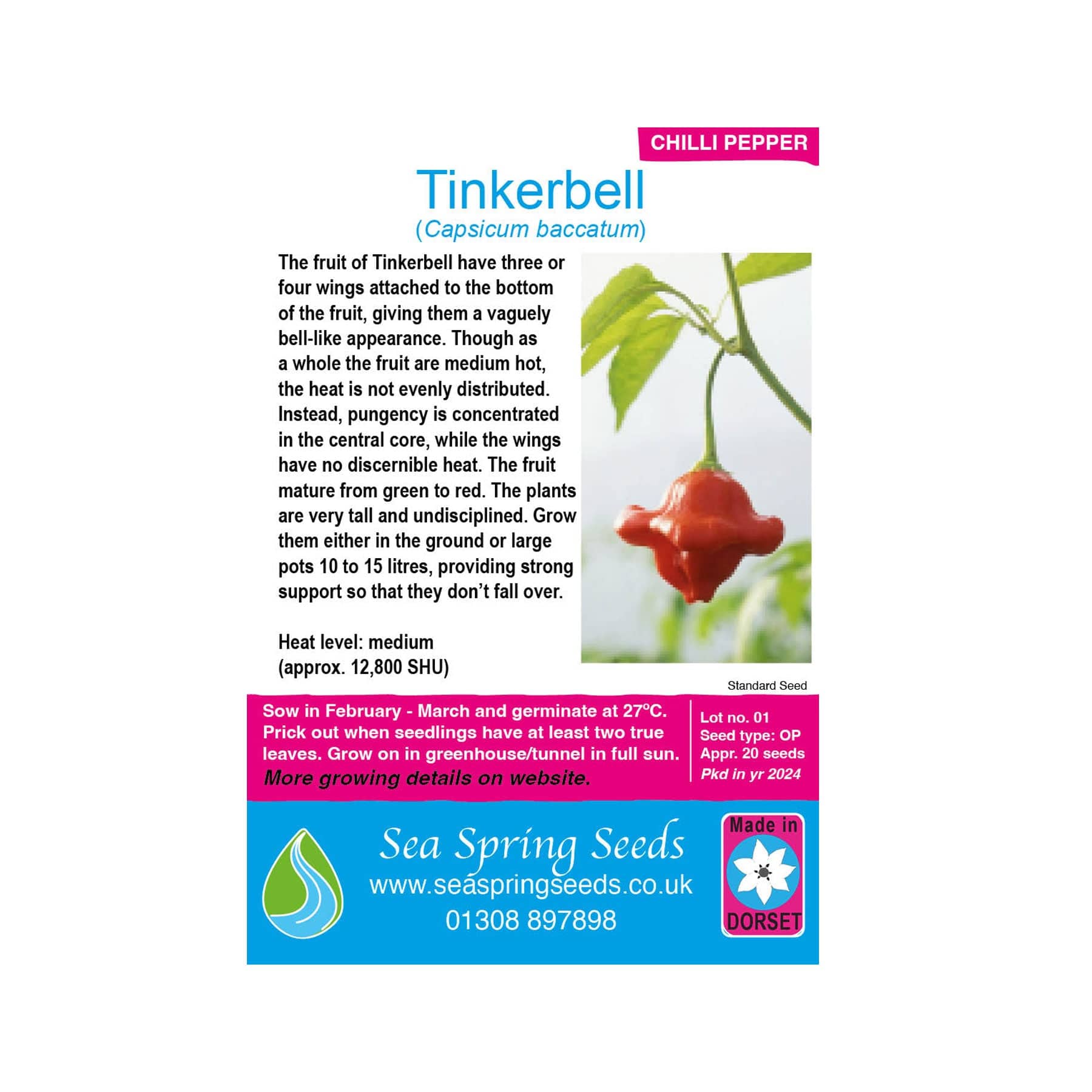 Tinkerbell chilli seeds
