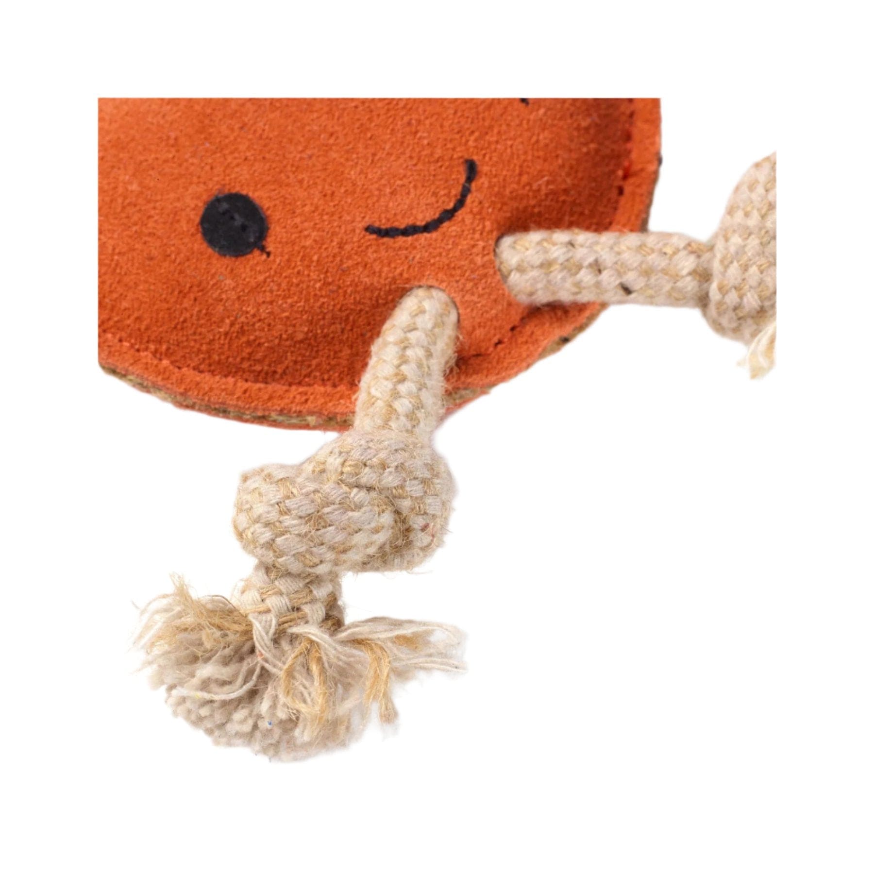 Sancho the satsuma eco pet toy