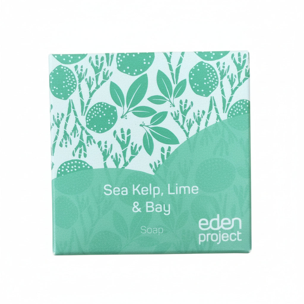 Sea kelp, lime & bay soap