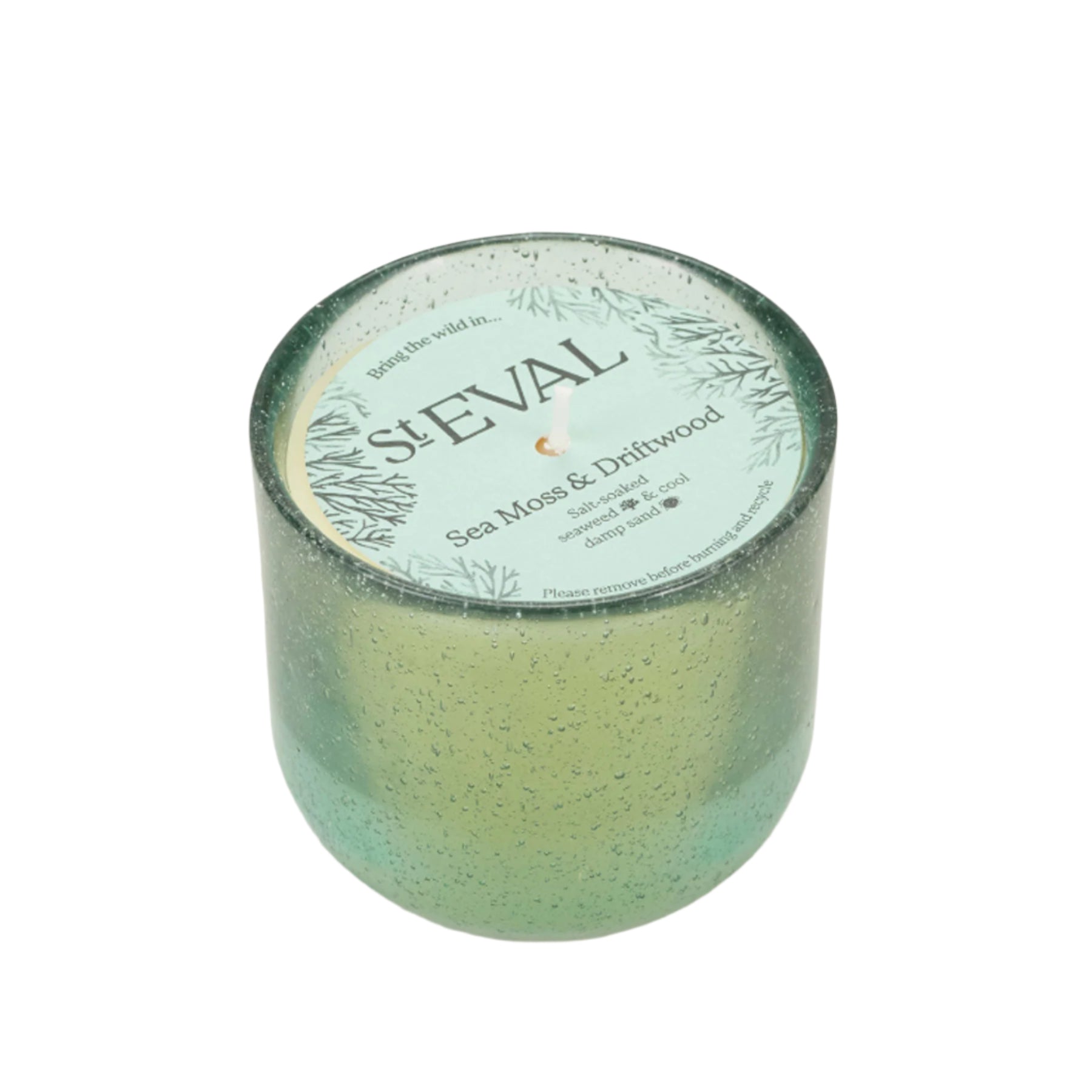 Sea moss & driftwood sea garden glass candle