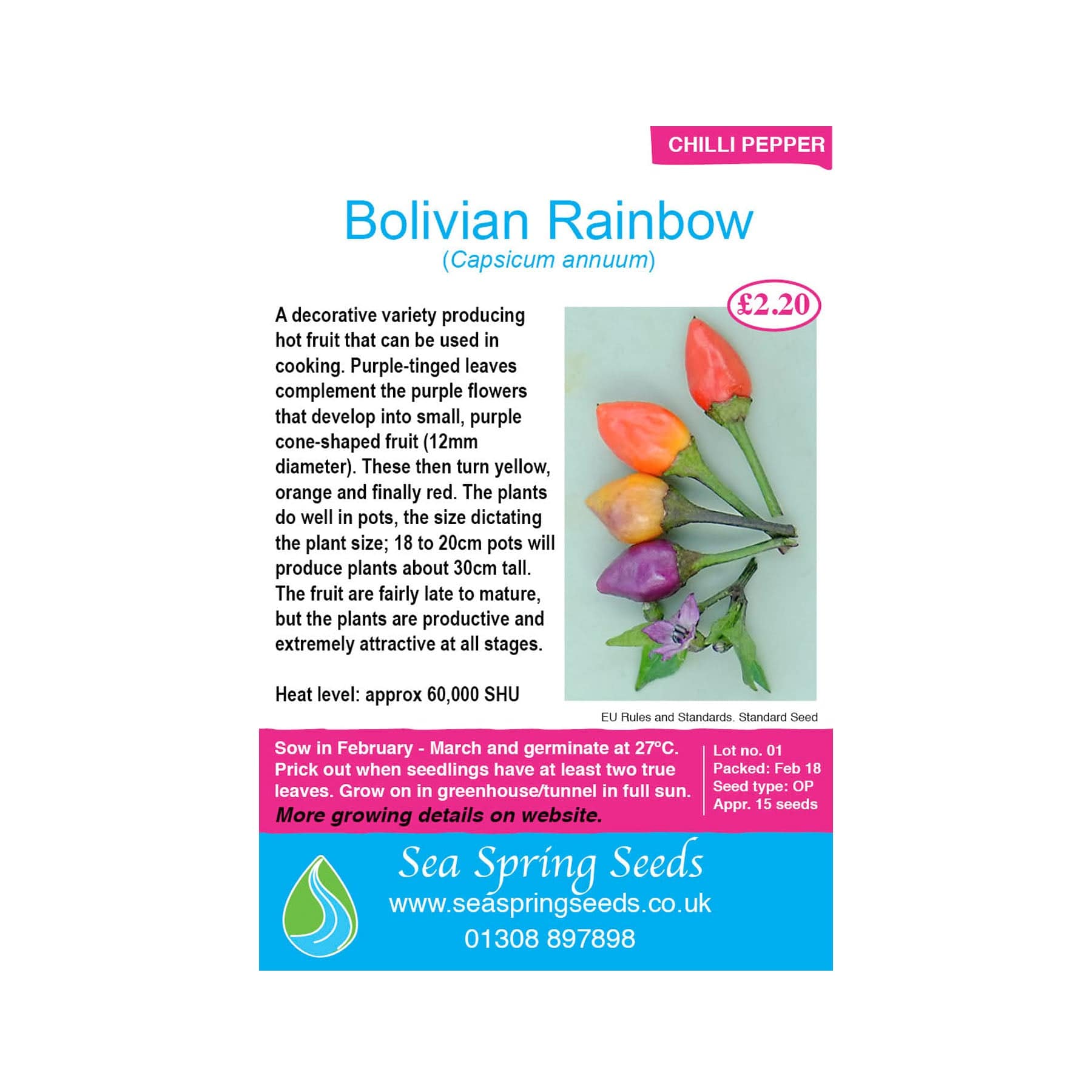 Bolivian rainbow chilli seeds