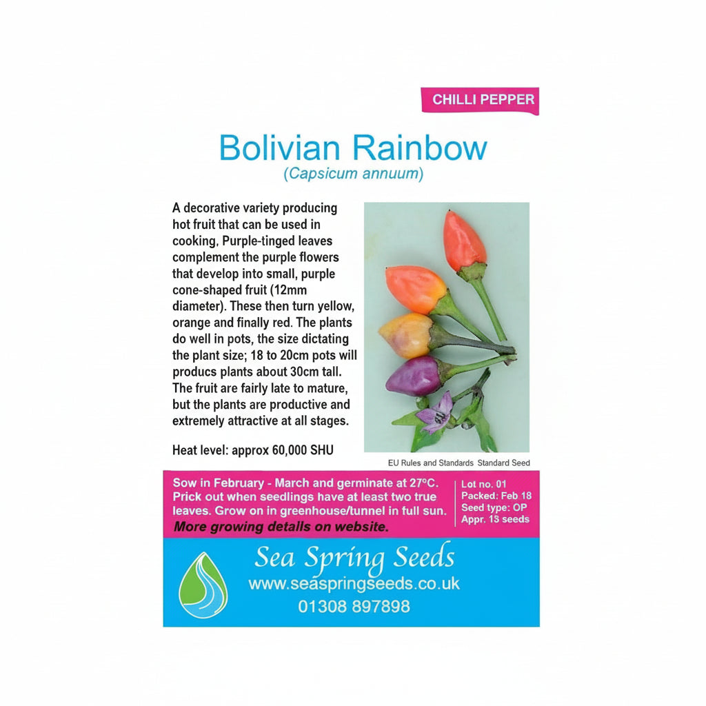 Bolivian rainbow chilli seeds