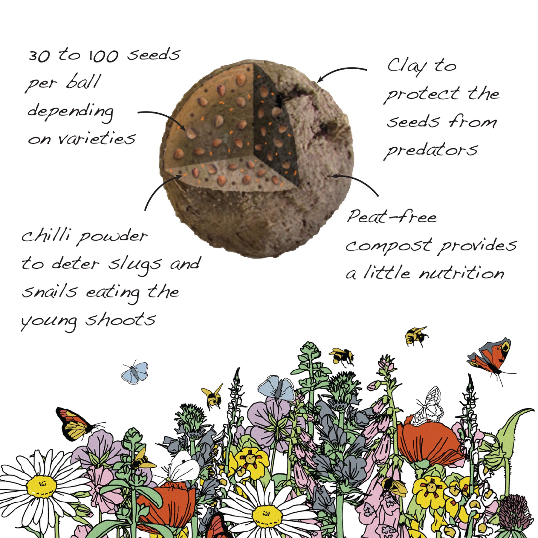 Royal Entomological Society wildflower mix tin
