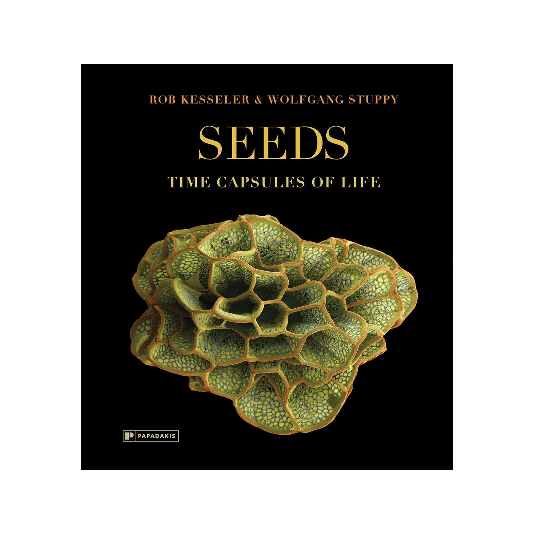 Seeds: time capsules of life