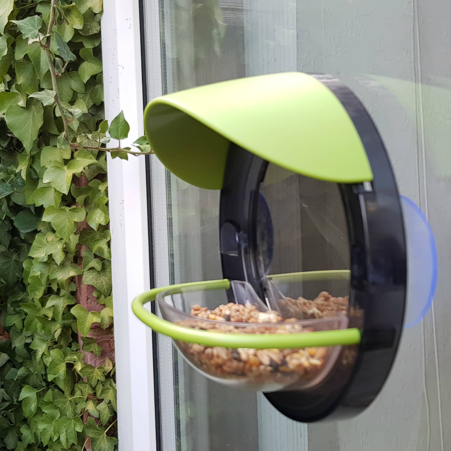 My living world window bird feeder