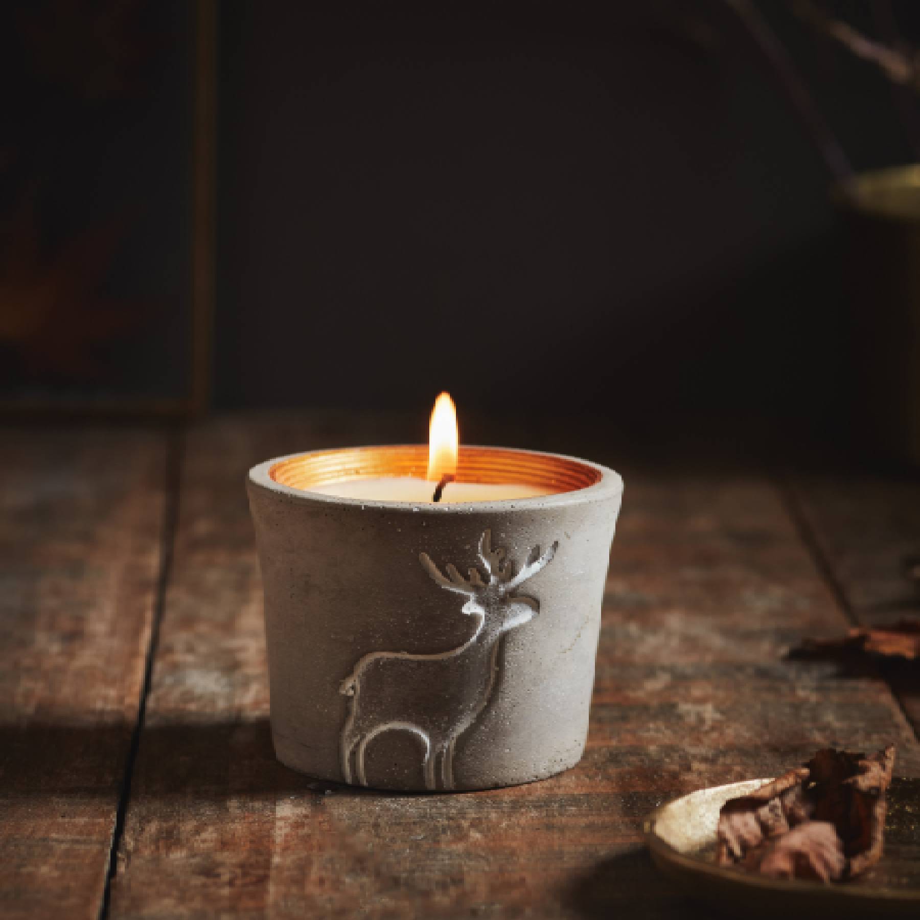 Orange & cinnamon reindeer pot candle