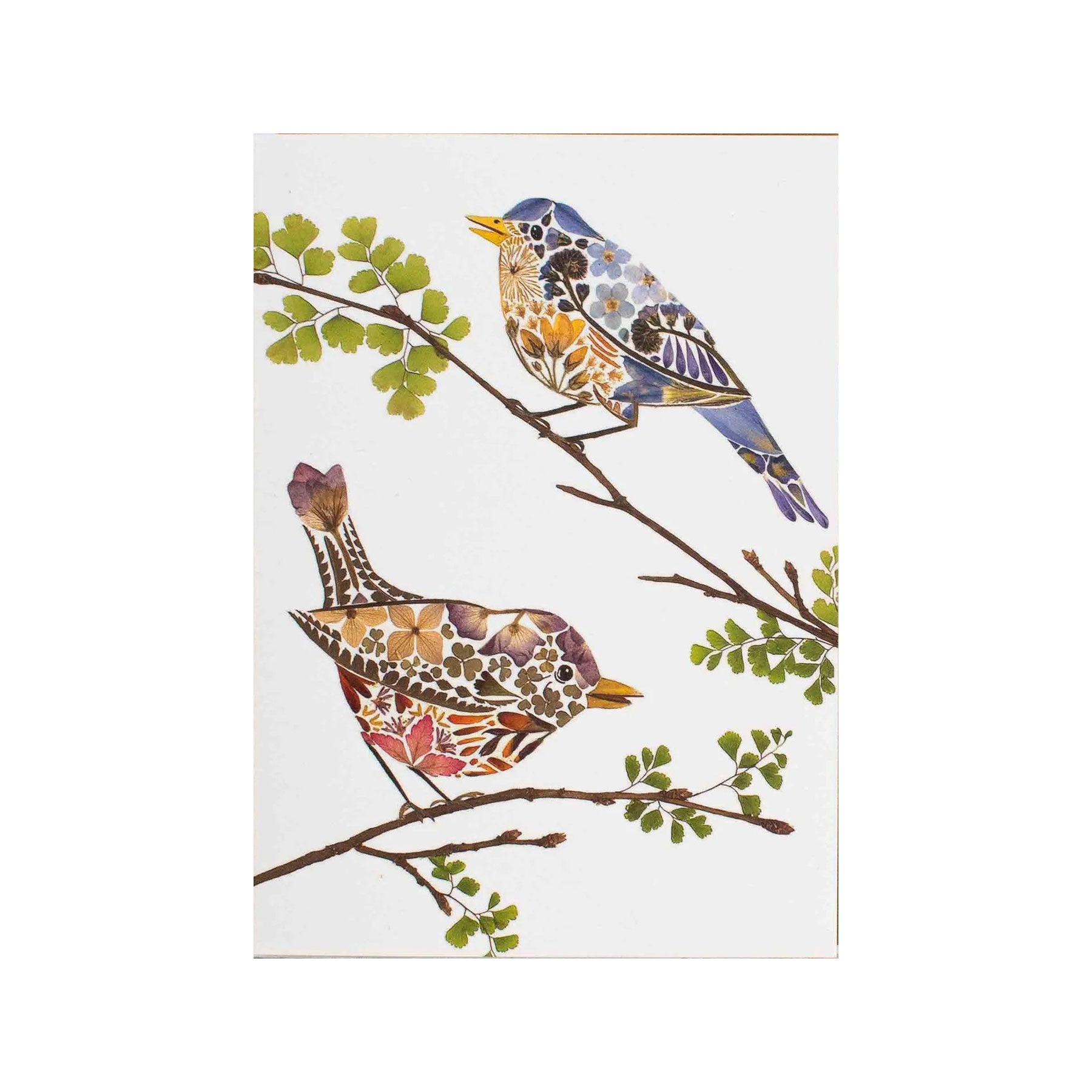 Song birds greetings card
