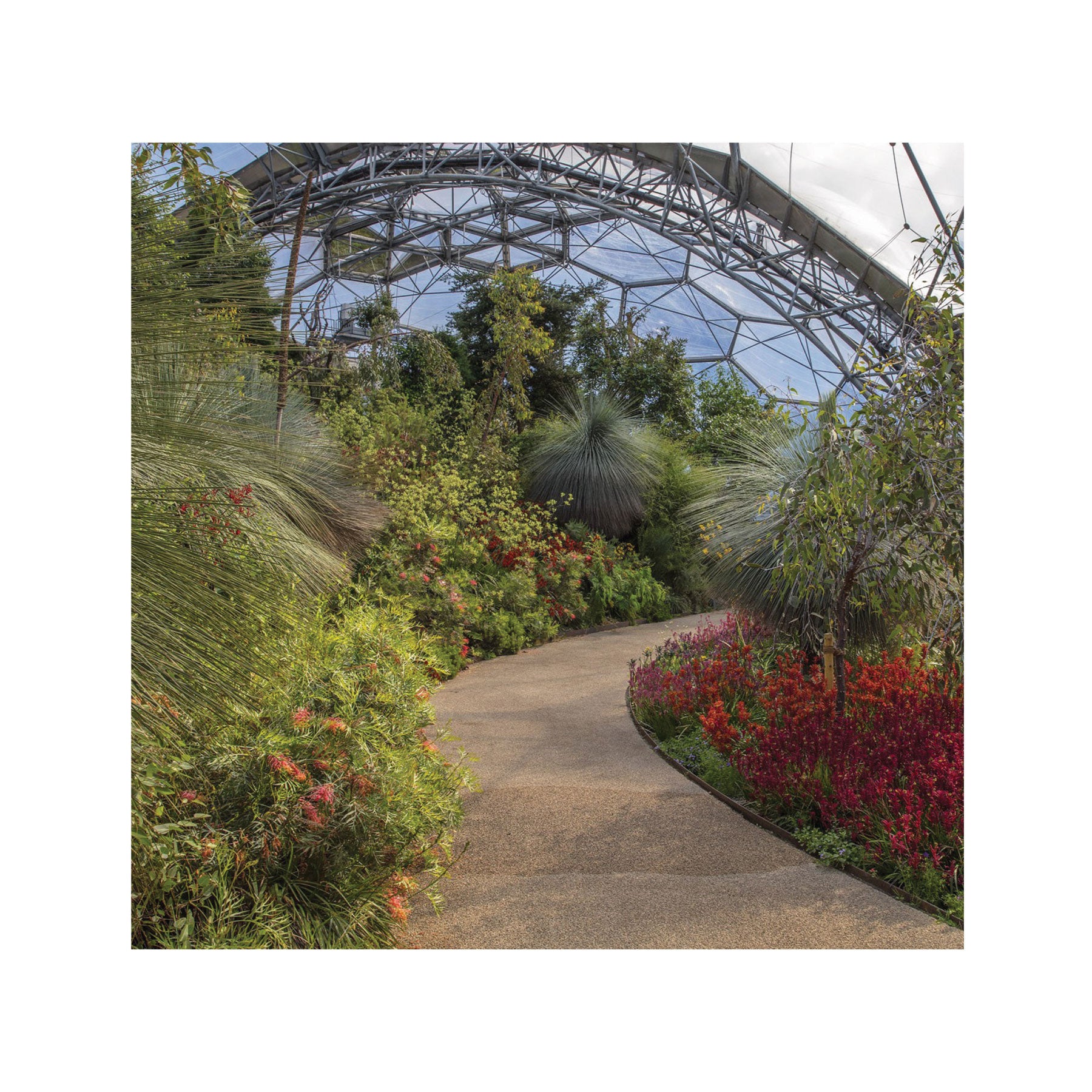 Southwest Australia exhibit greetings card