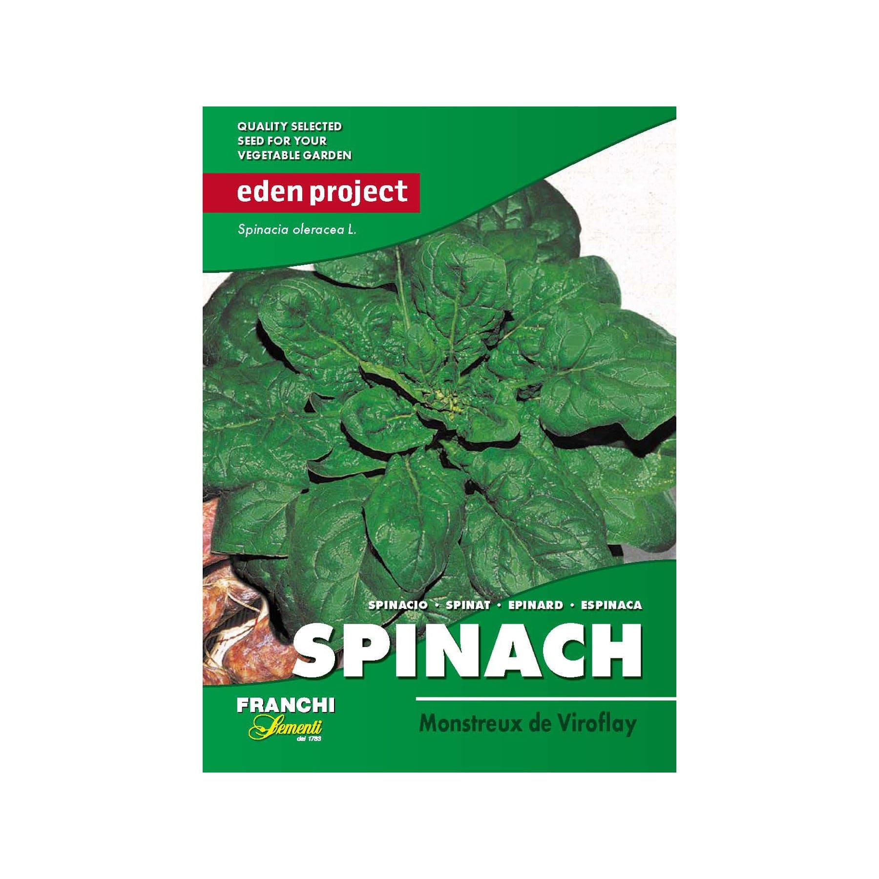 Spinach viroflay seeds