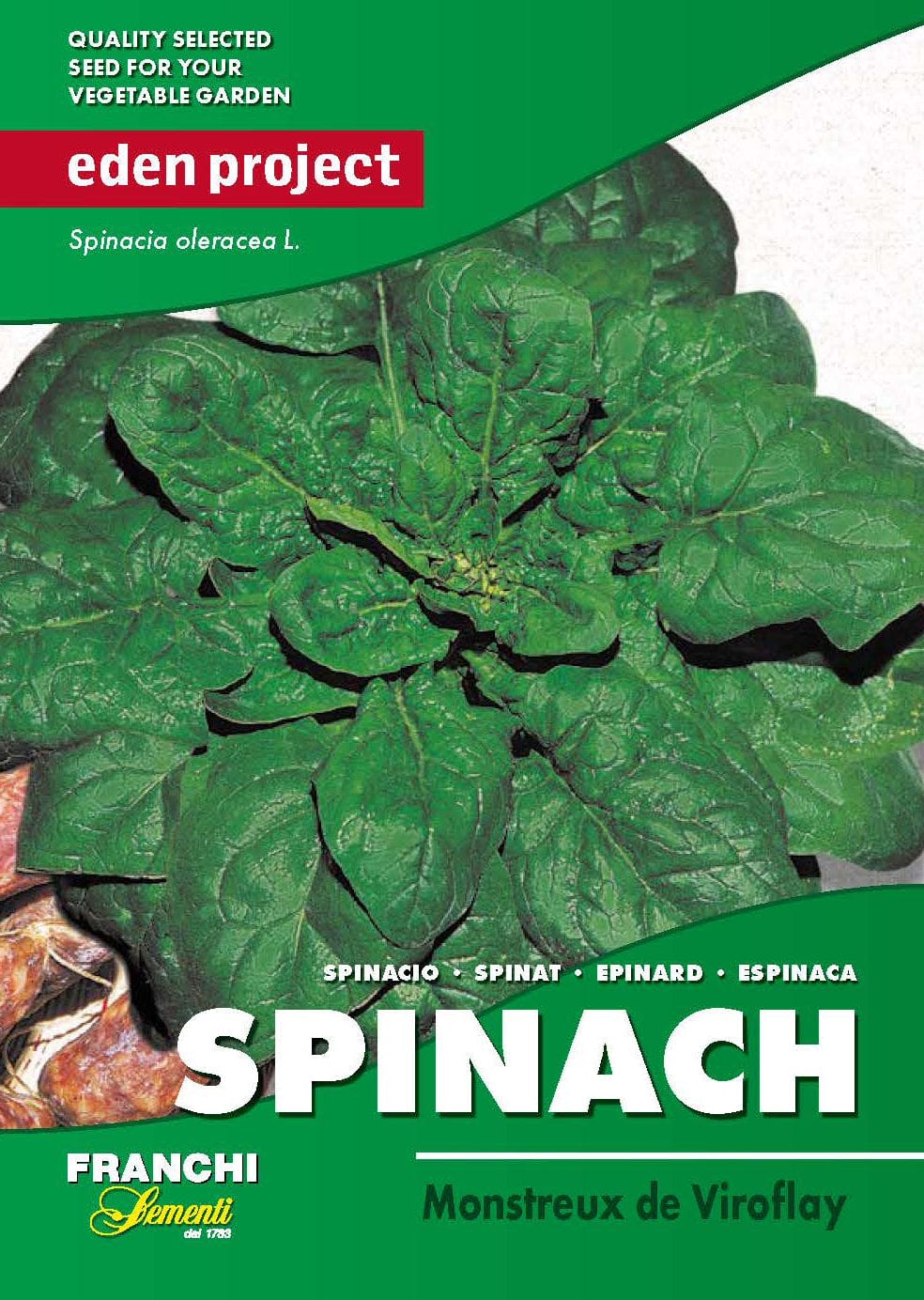 Eden spinach viroflay seeds