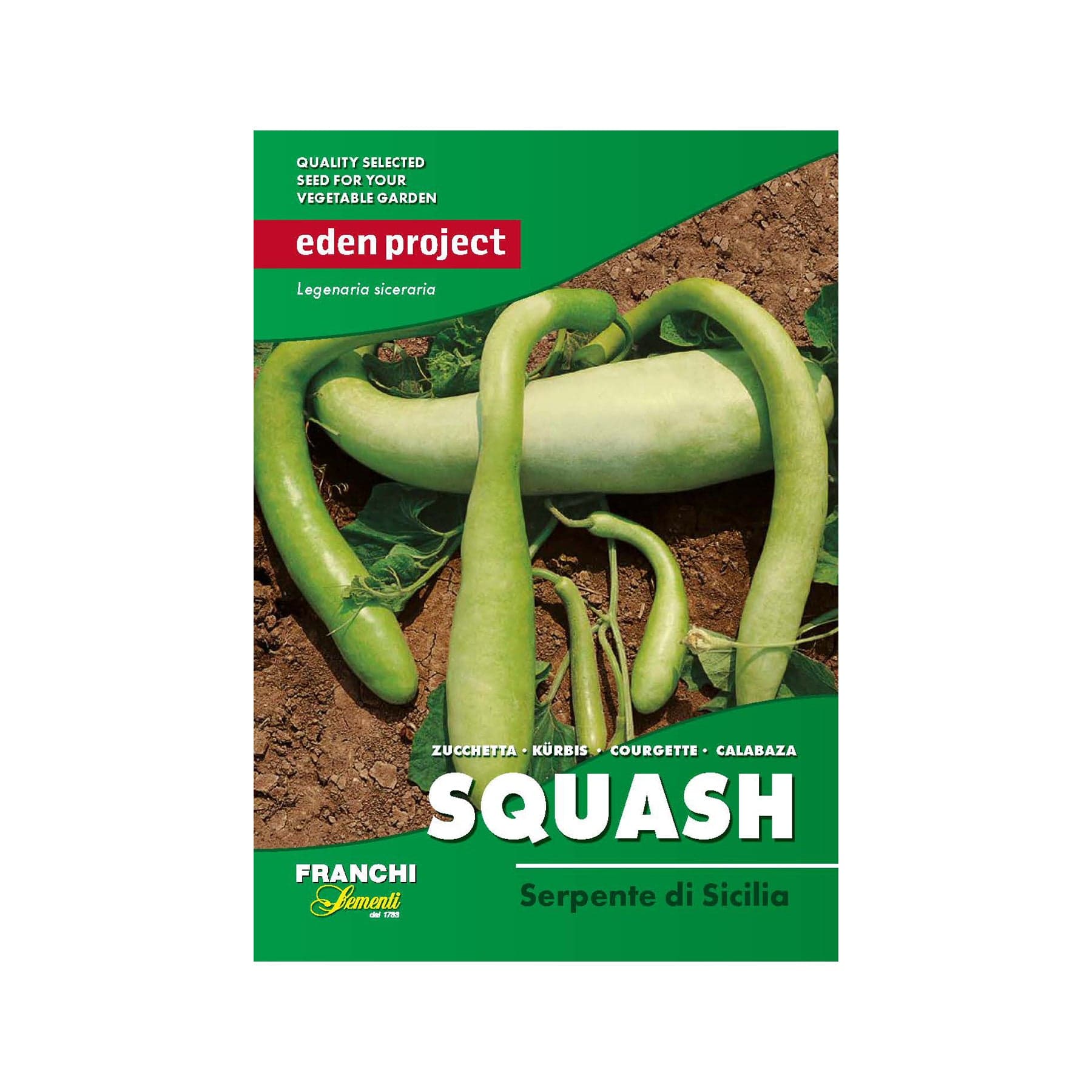 Squash sicilian serpent seeds