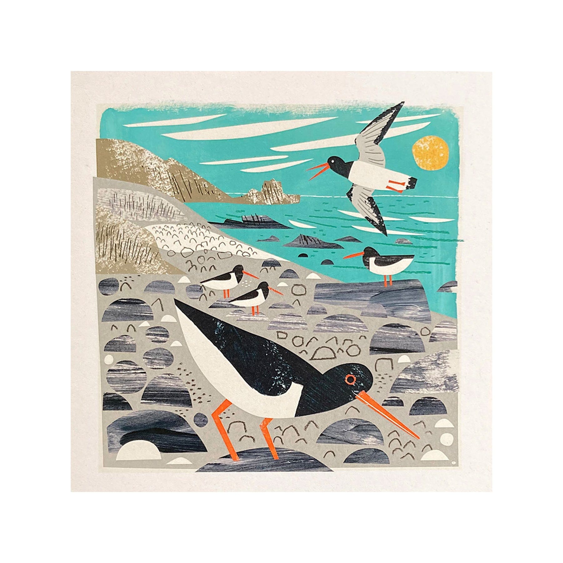 St Loy's cove oystercatchers greetings card