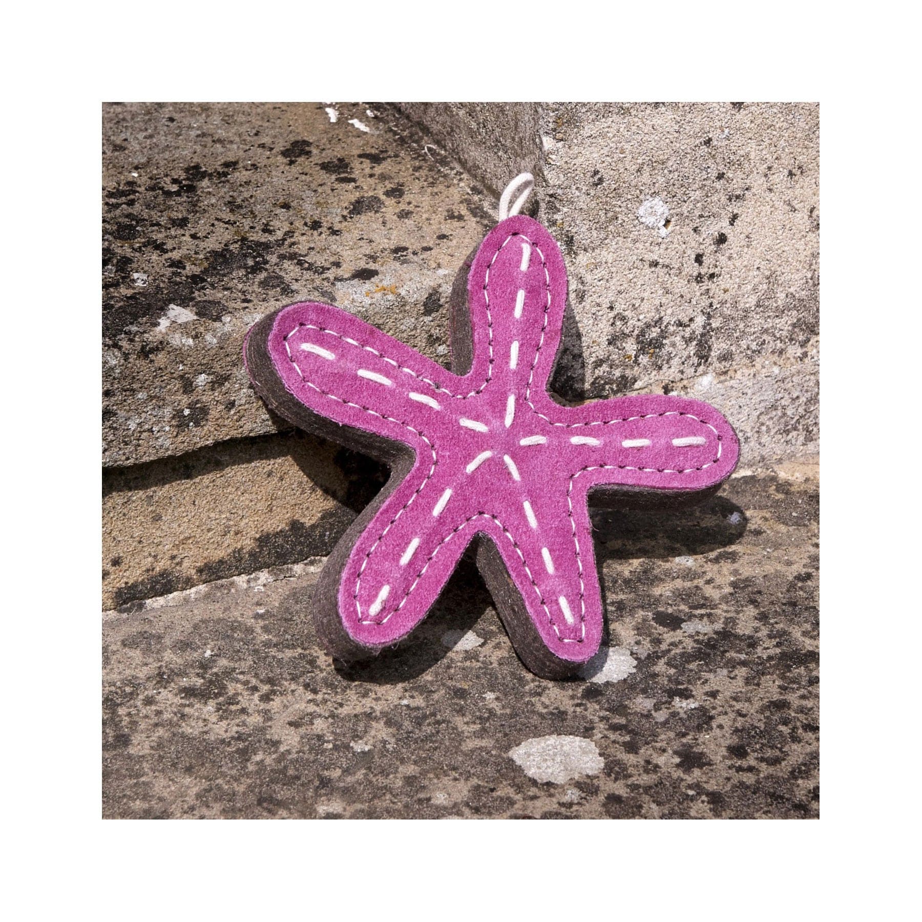 Stanley the starfish eco pet toy