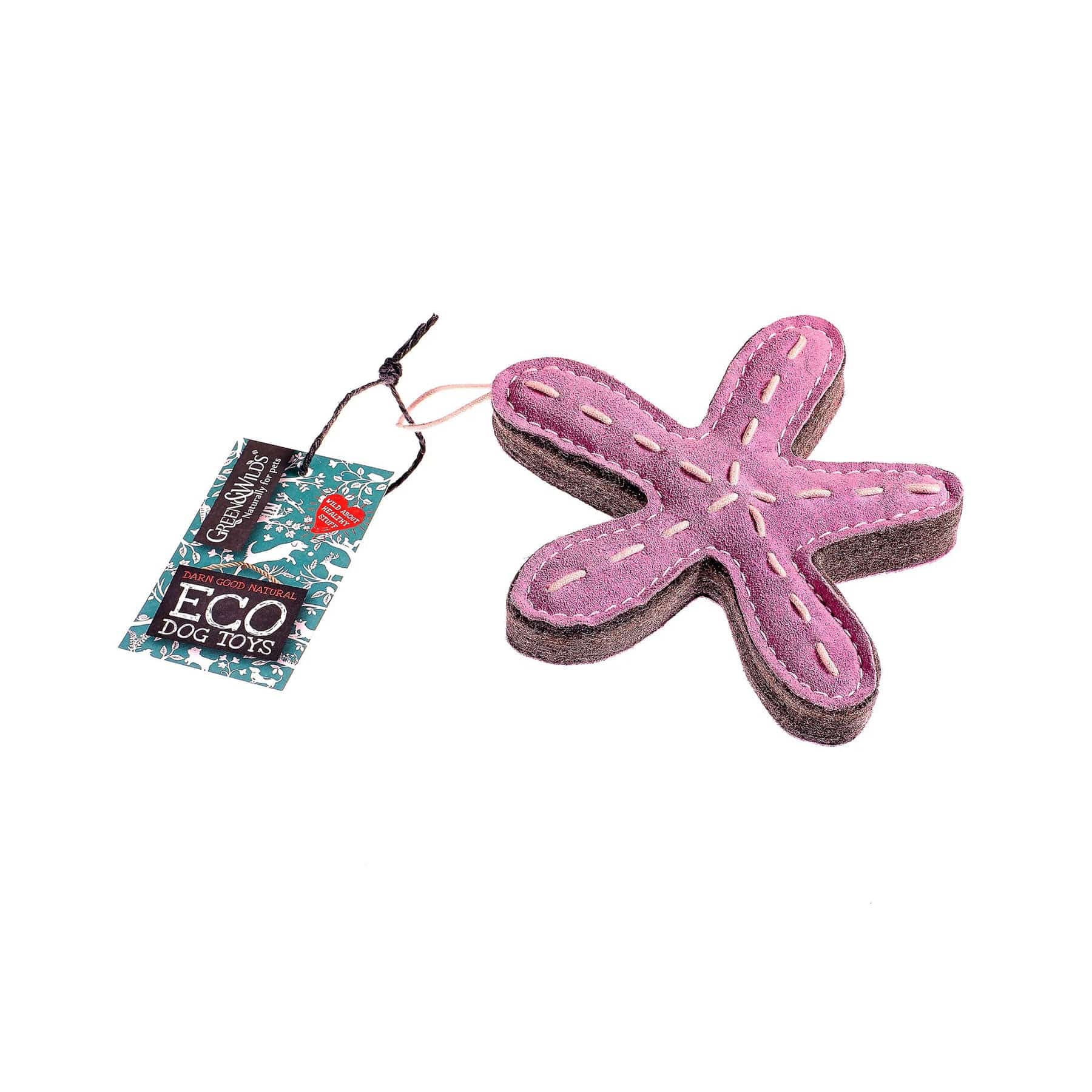 Stanley the starfish eco pet toy