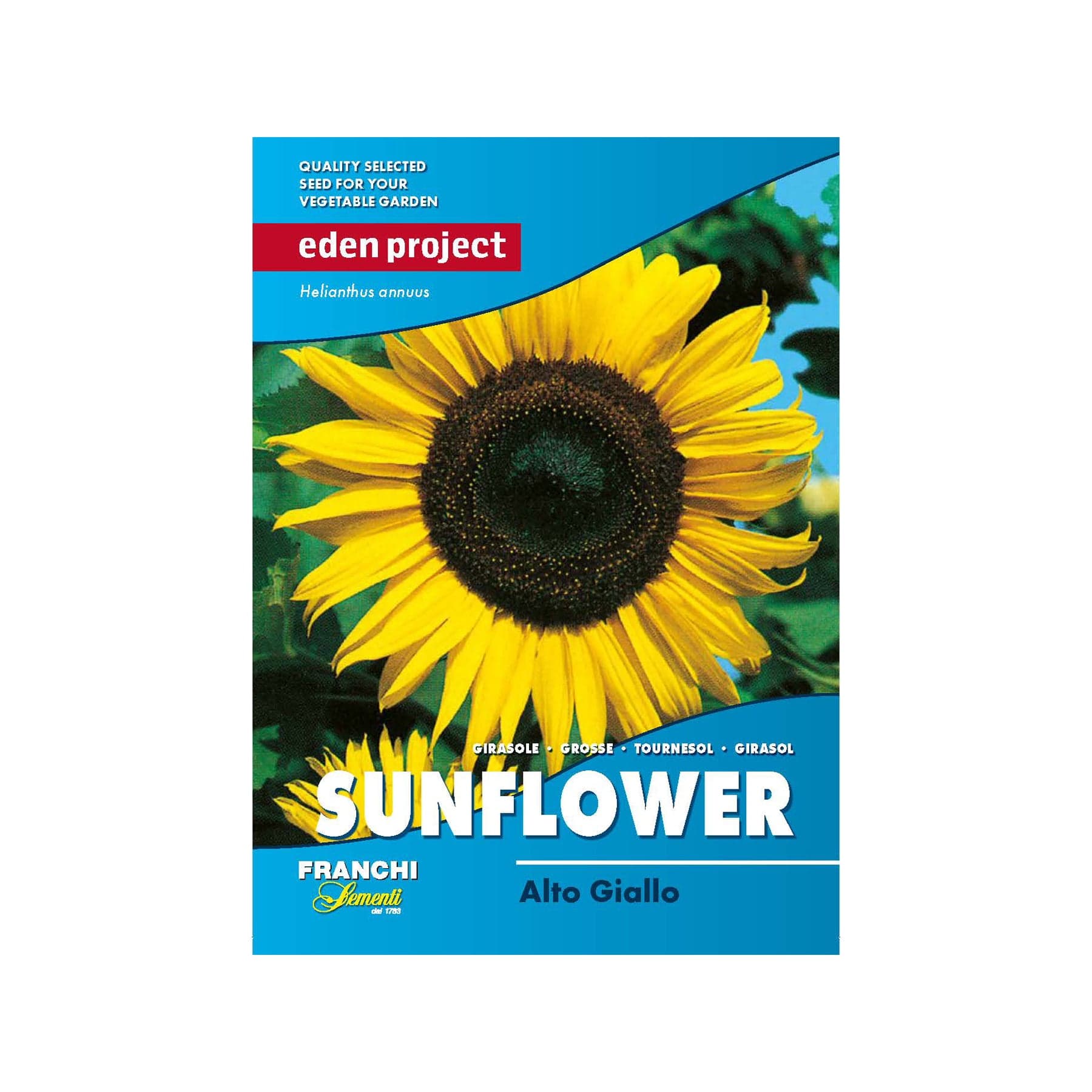 Sunflower alto giallo seeds