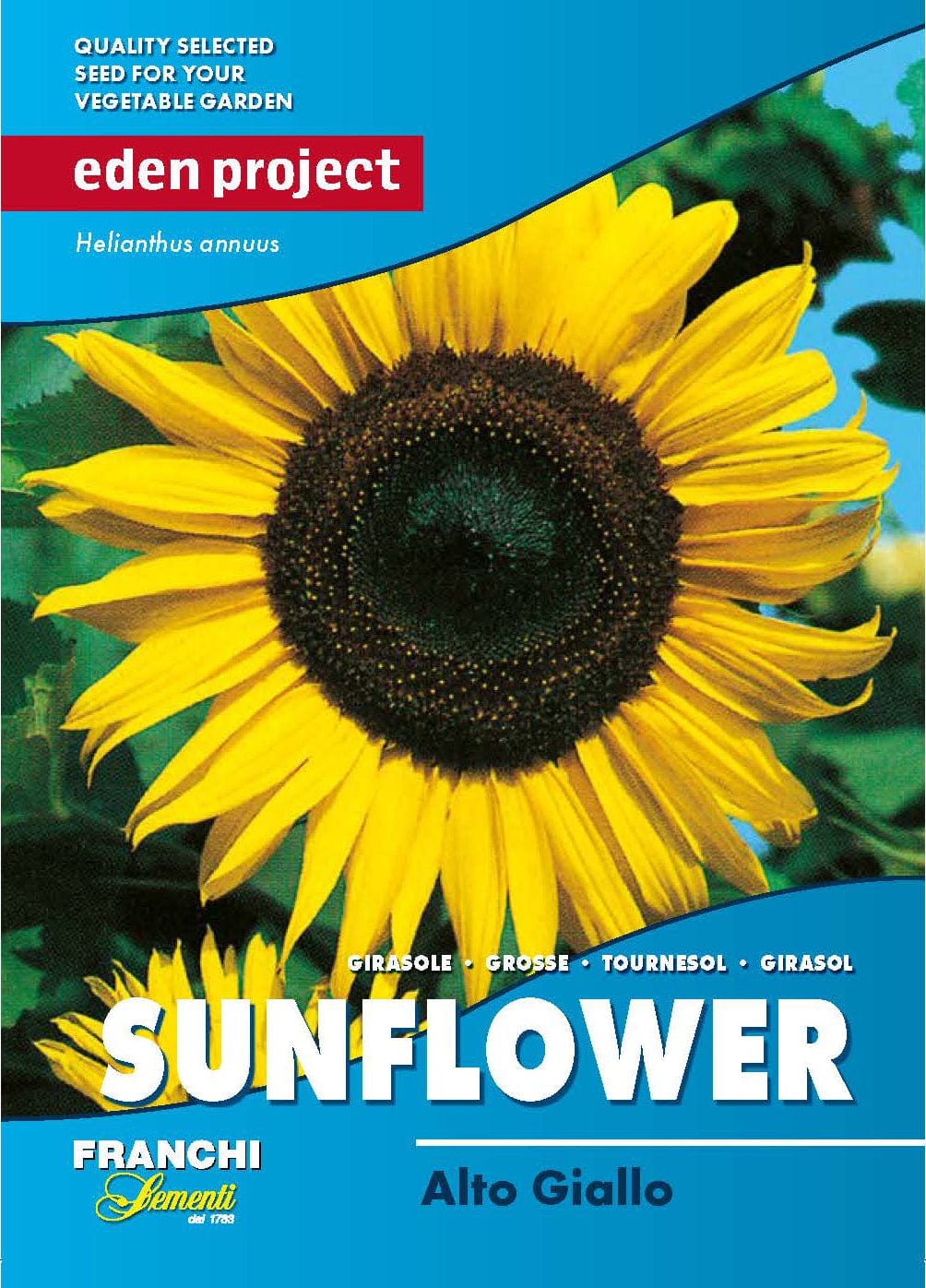 Eden sunflower alto giallo seeds