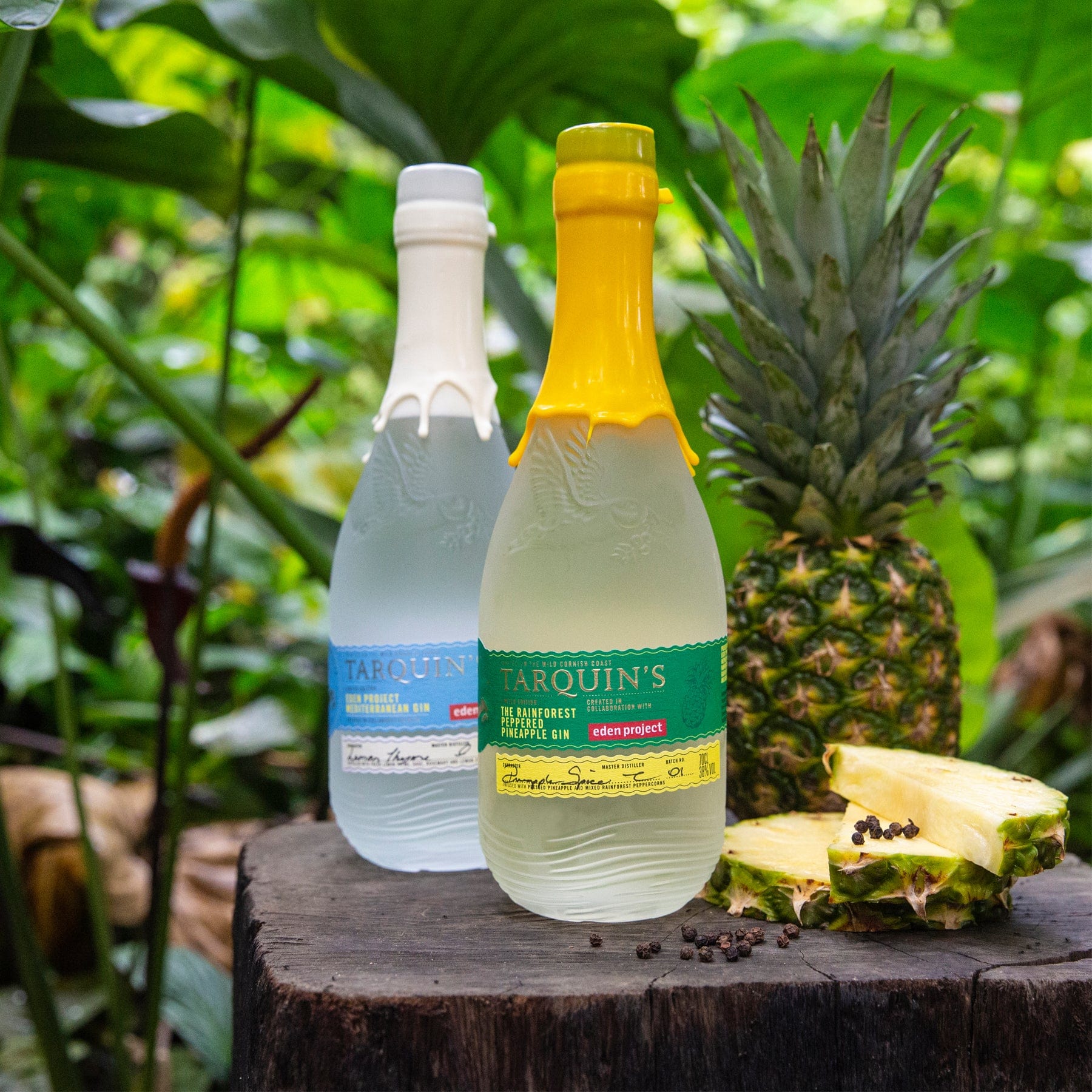 Alt text: Two bottles of Tarquin's gin on a wooden stump, one clear and one yellow, next to a whole pineapple and pineapple slices, with lush green foliage in the background.