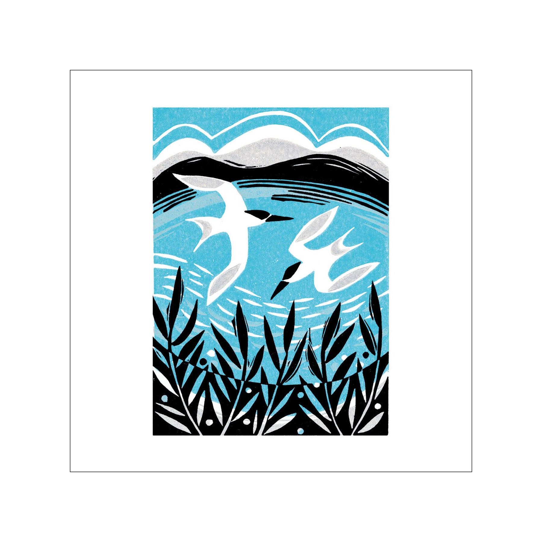 Terns greetings card