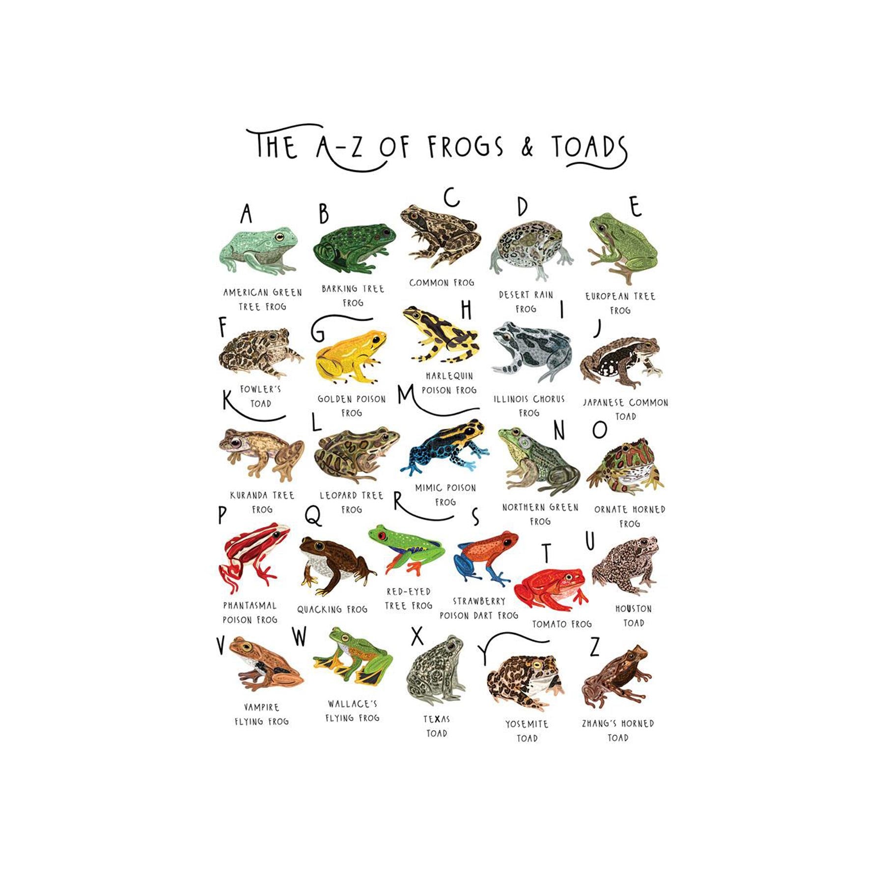 The A-Z of frogs and toads greetings card