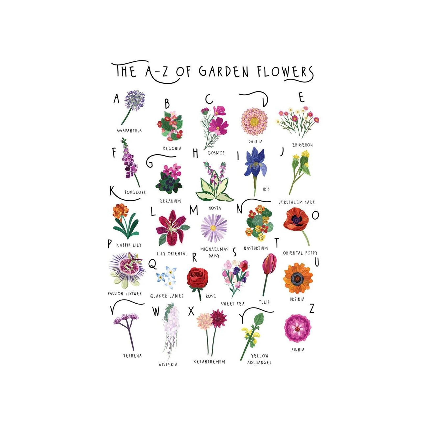 The A-Z of garden flowers greetings card