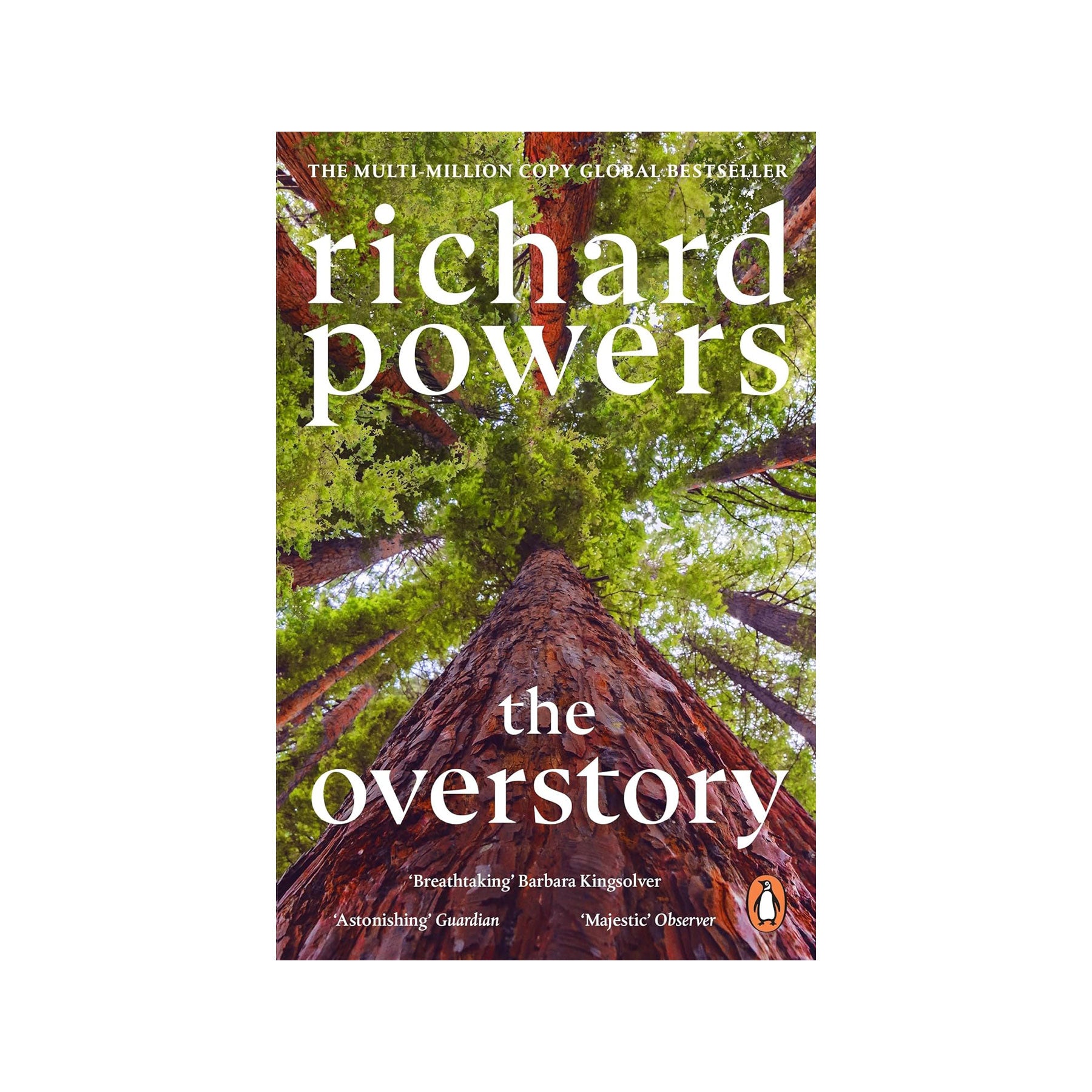 The overstory