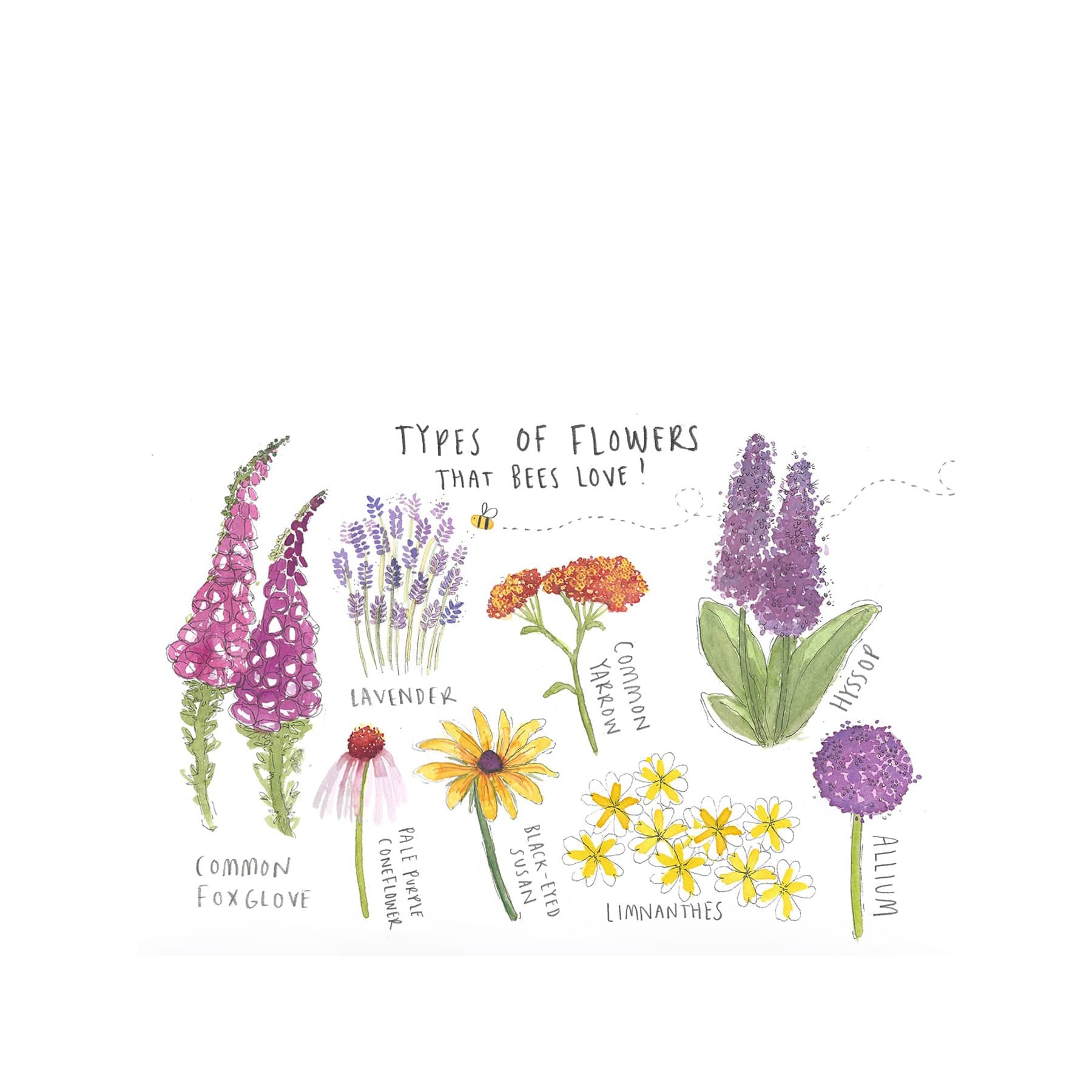 Types of flowers that bees love greetings card