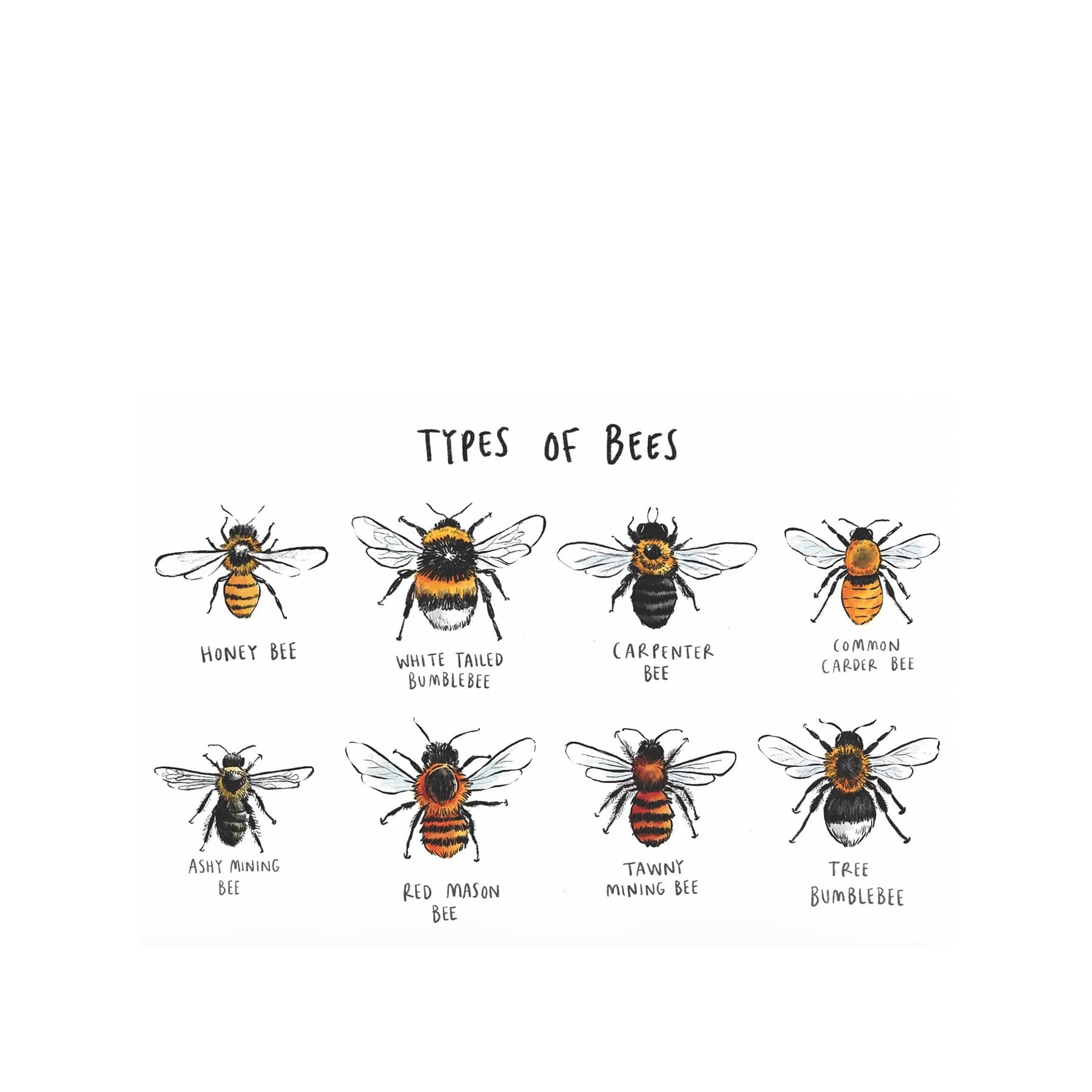 Types of bees greetings card