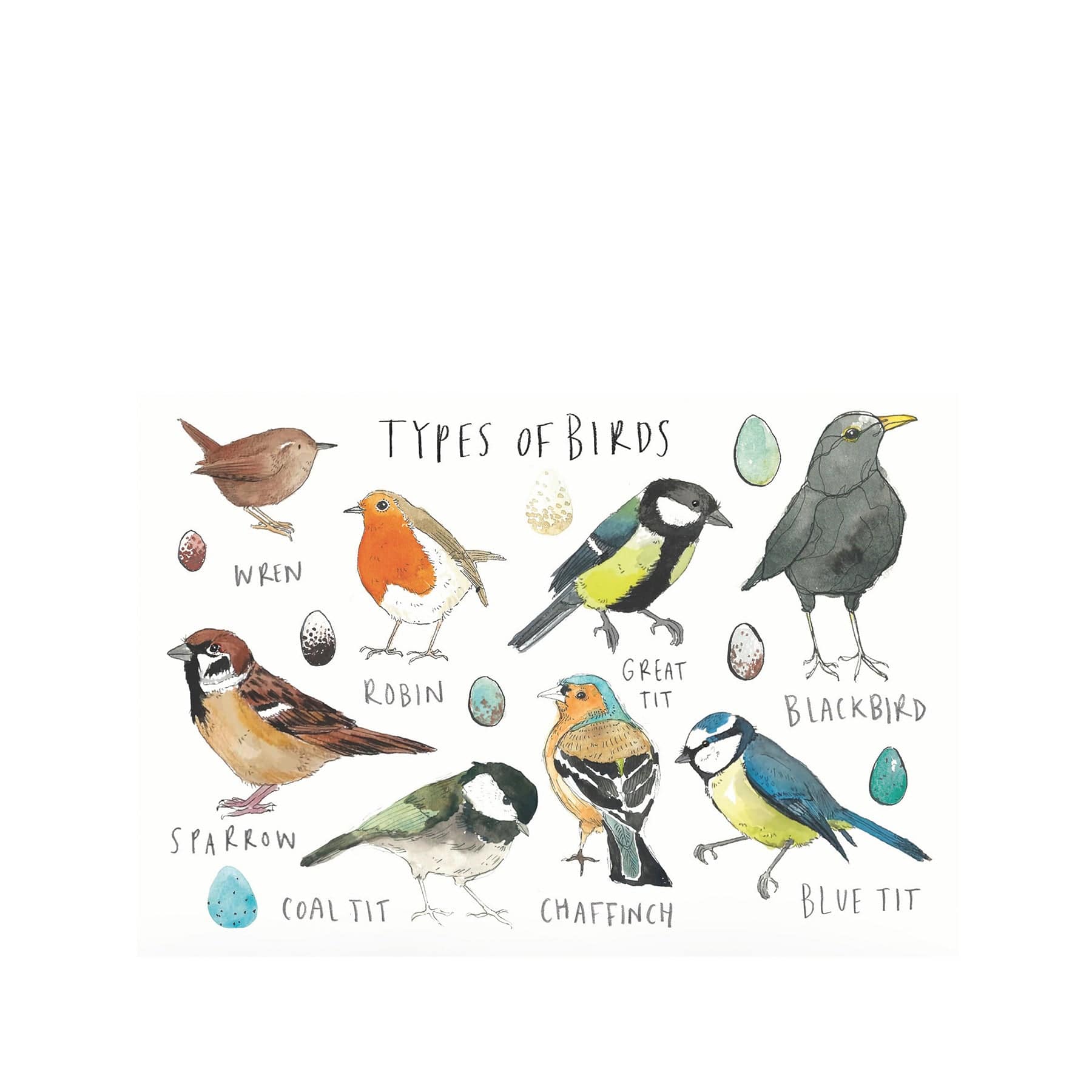 Types of bird greetings card