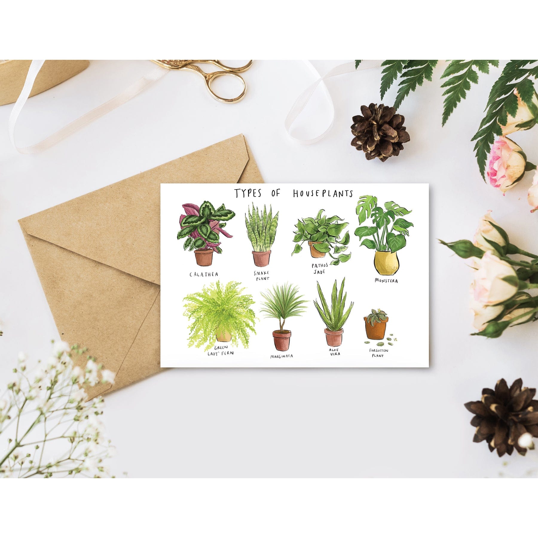 Types of houseplant greetings card