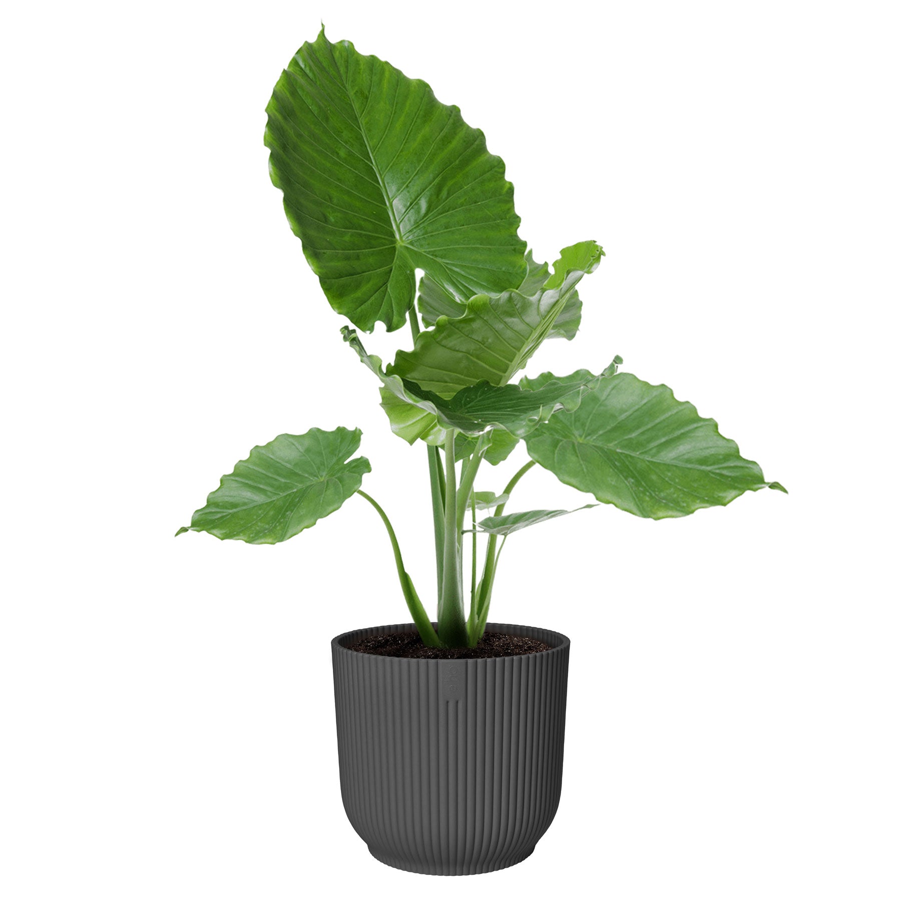 Vibes fold round plant pot