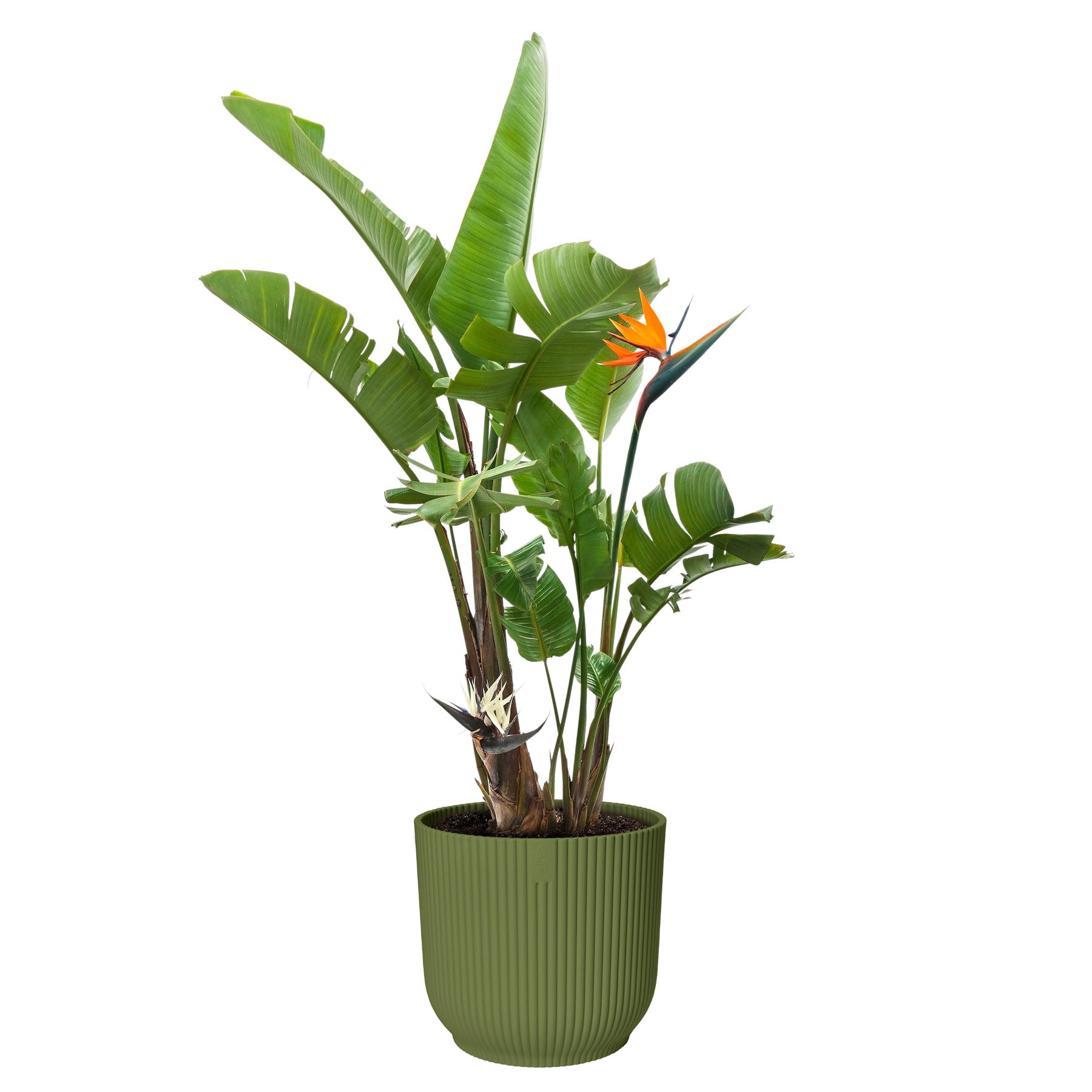Vibes fold round plant pot