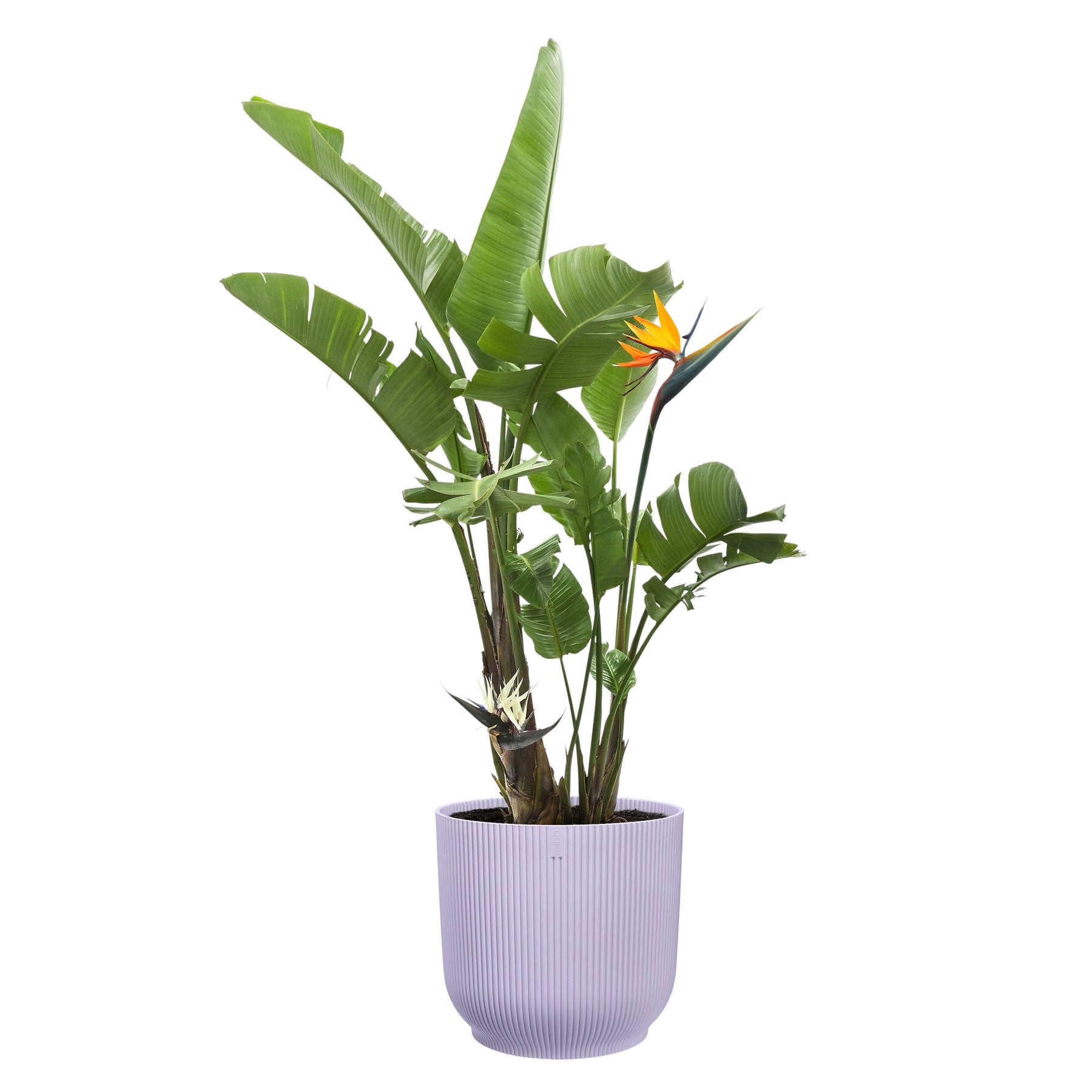 Vibes fold round plant pot