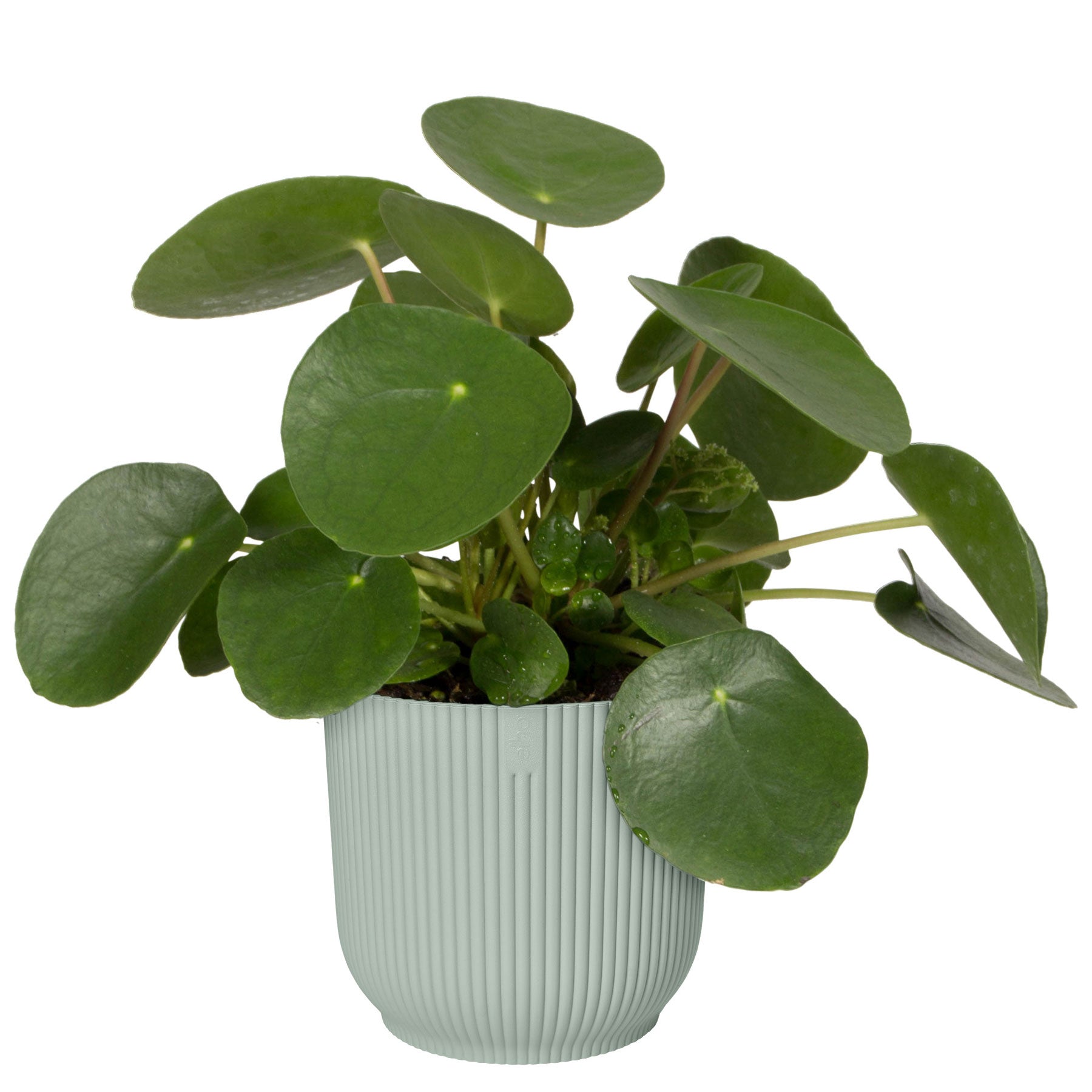 Vibes fold round plant pot