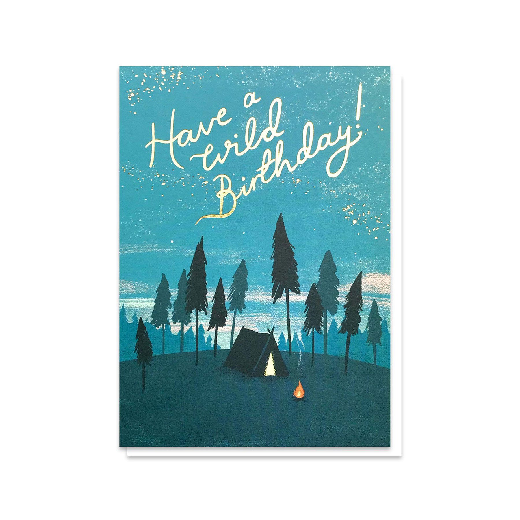 Wild birthday greetings card